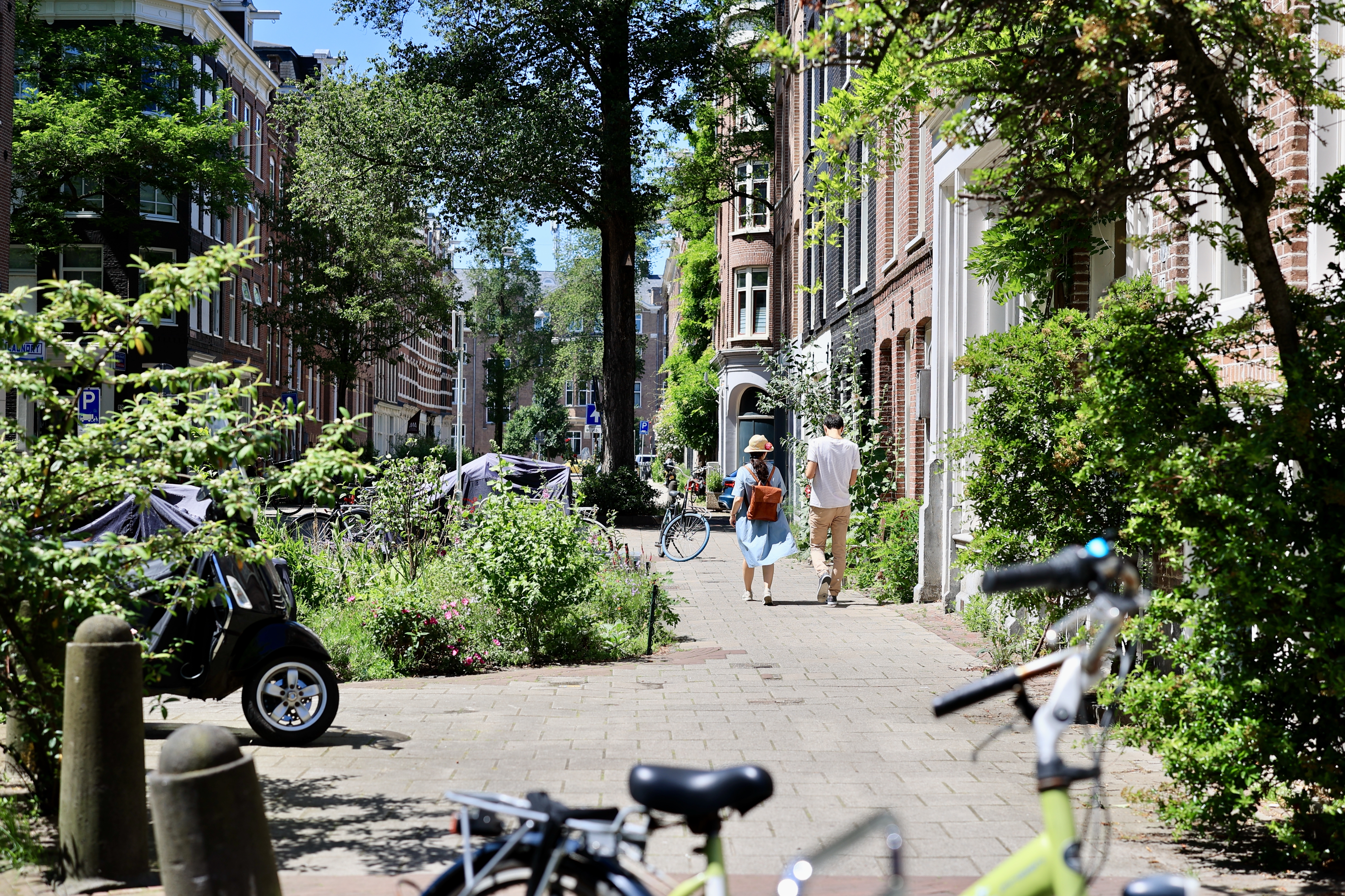 Mensen lopen in stad met veel bomen