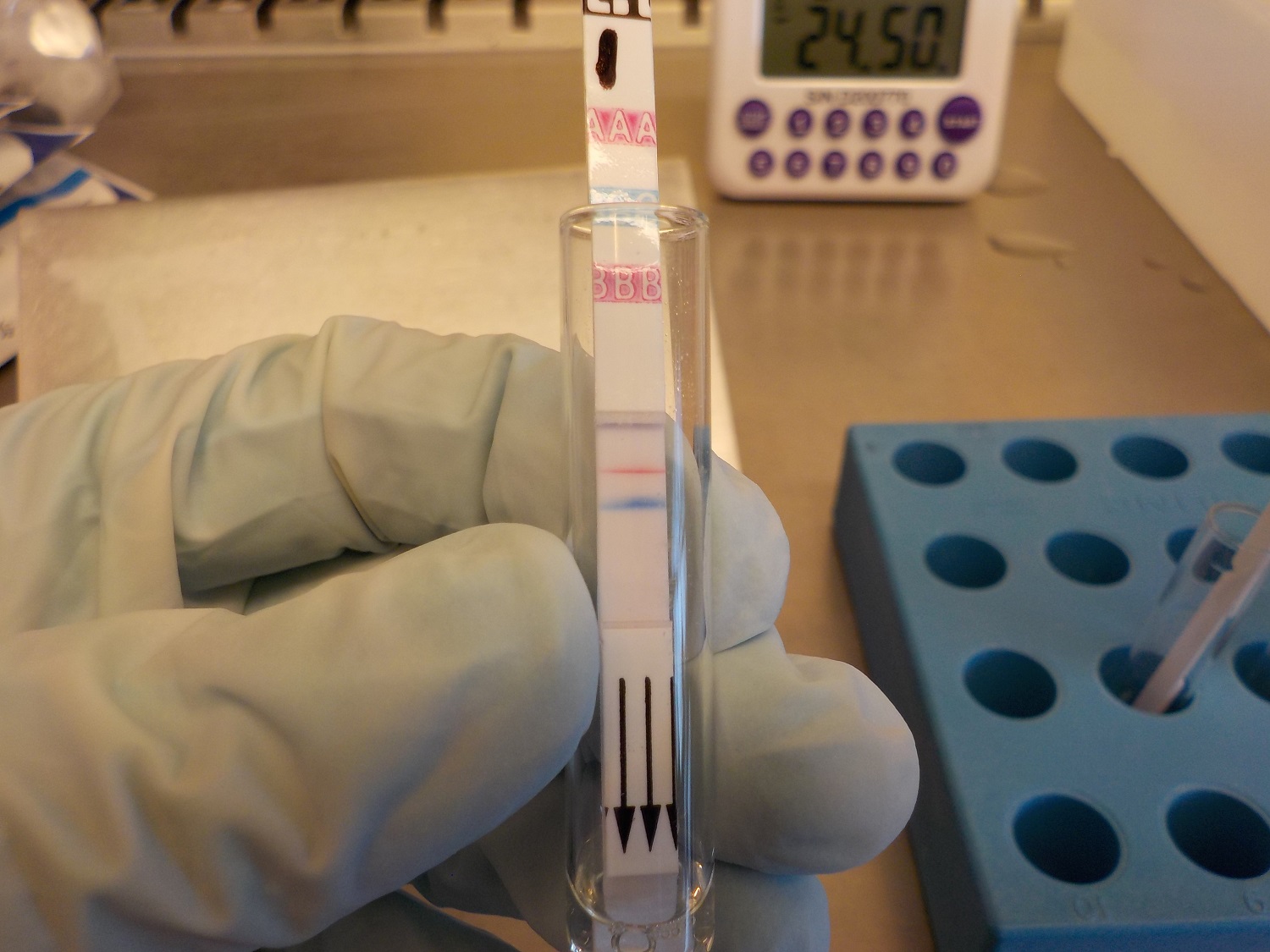 Fast test strips