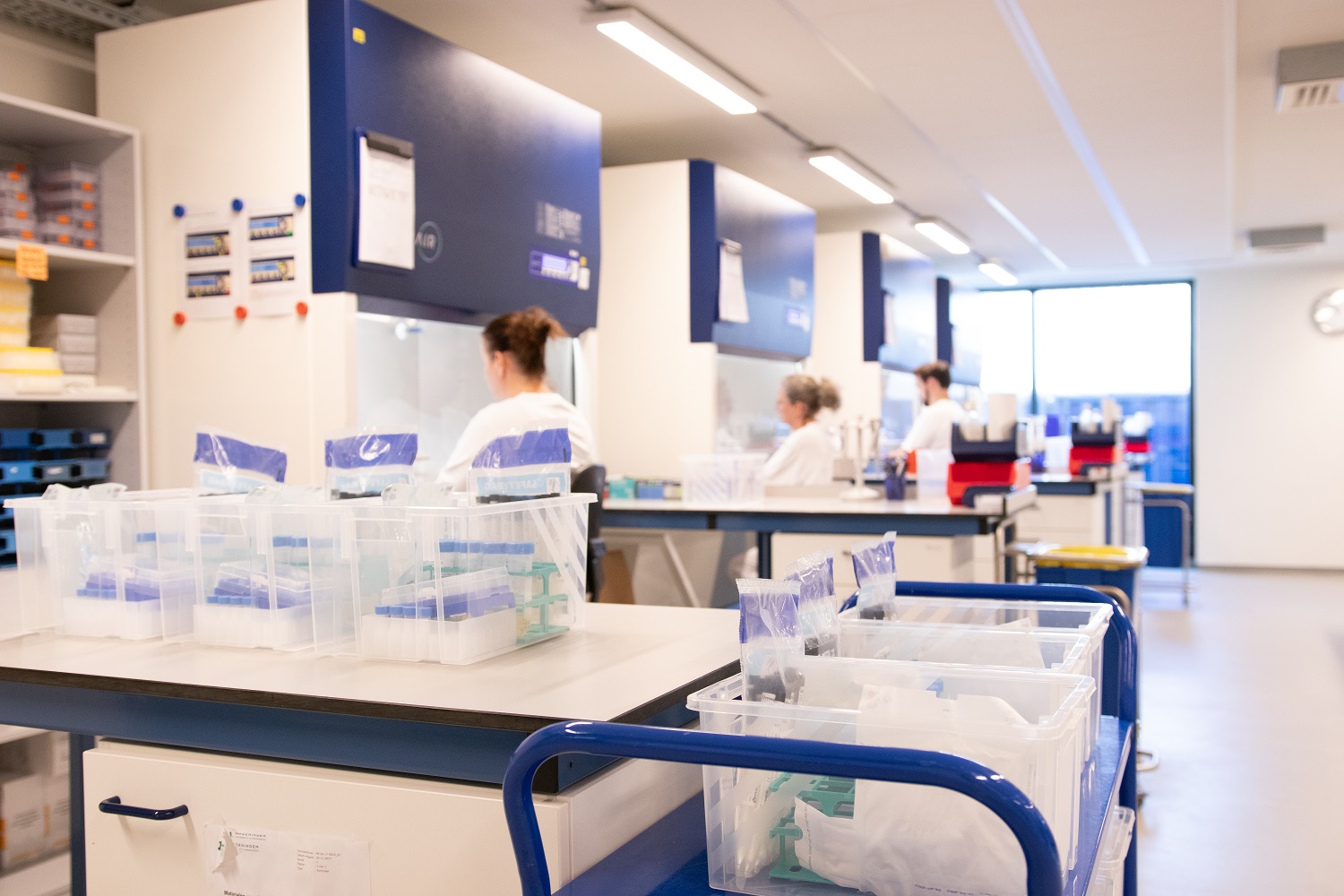 WBVR-researchers in the laboratory 