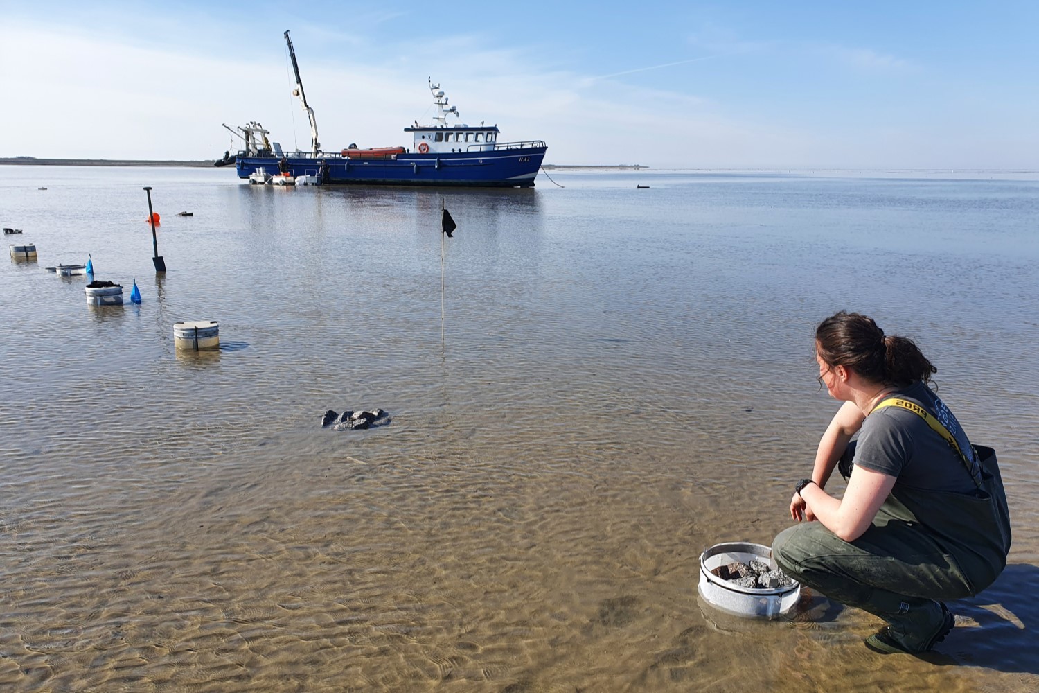 Waddenmozaïekonderzoekster Sterre Witte bij het kooienexperiment