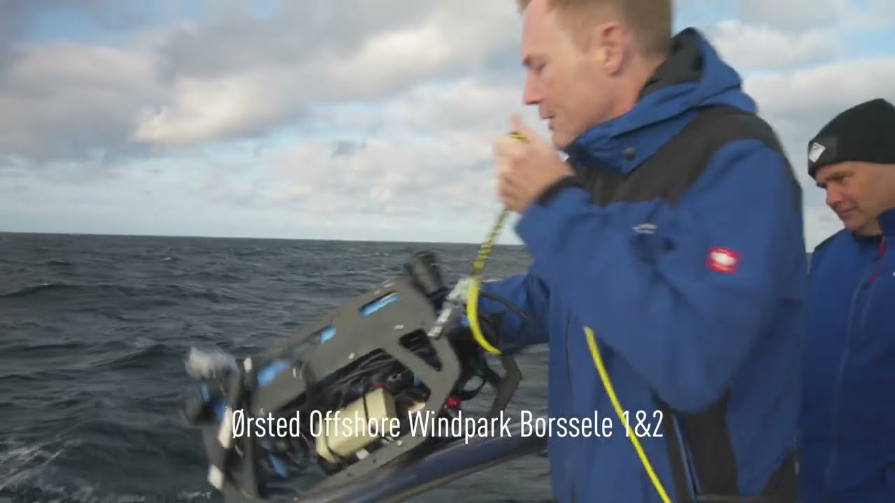 Biodiversiteit in offshore windmolenparken