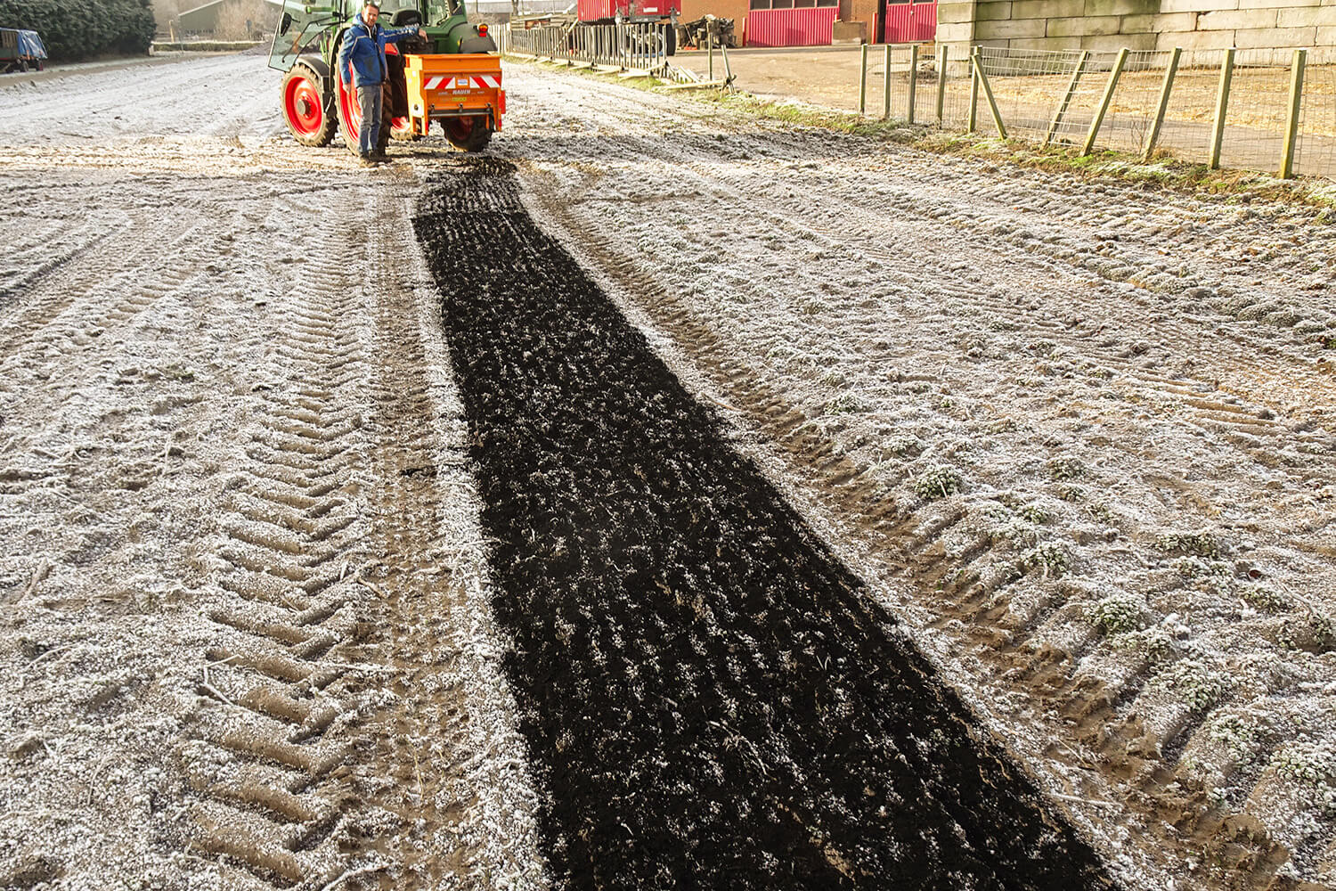 The bulb soil is covered with biochar