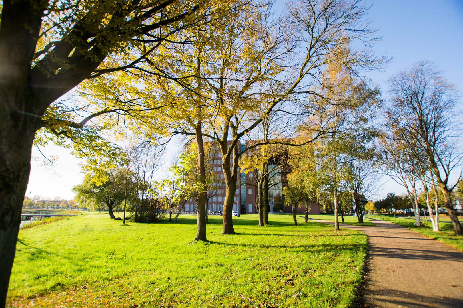 De campus met bomen in geel-oranje herfstkleuren