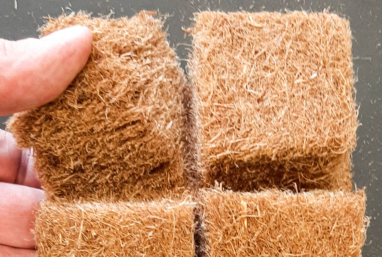 Growing blocks made of bonded hemp fibres