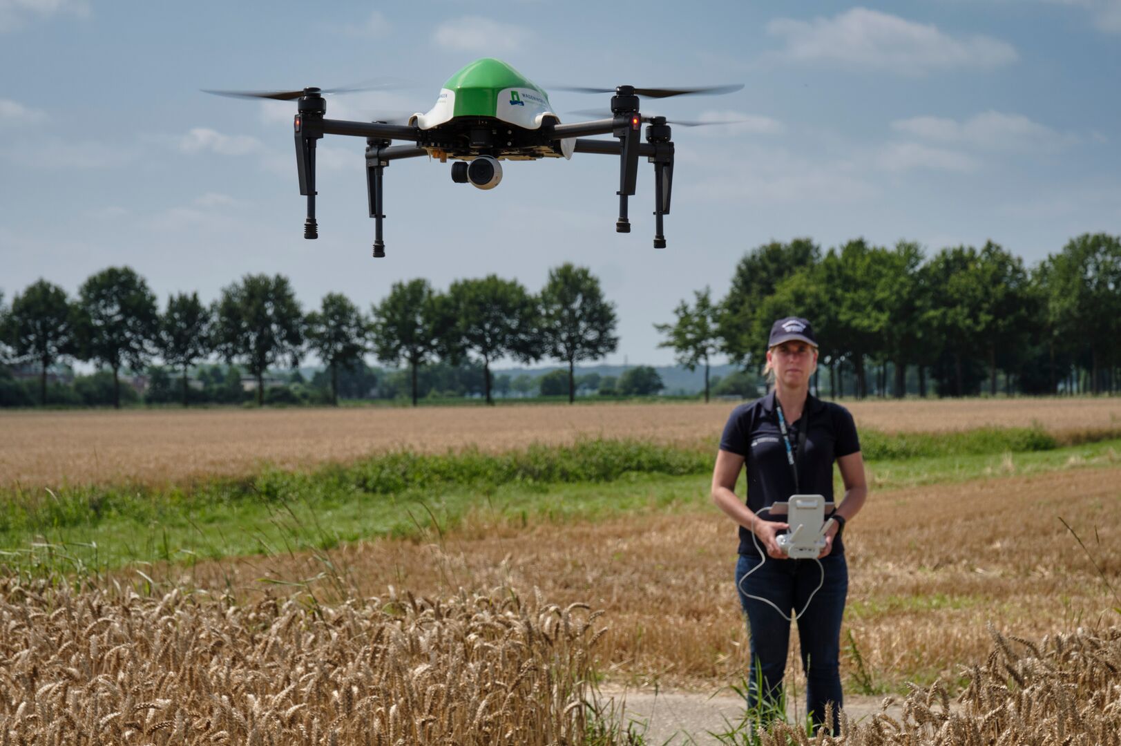 Persoon bestuurd een drone over een agrarisch veld