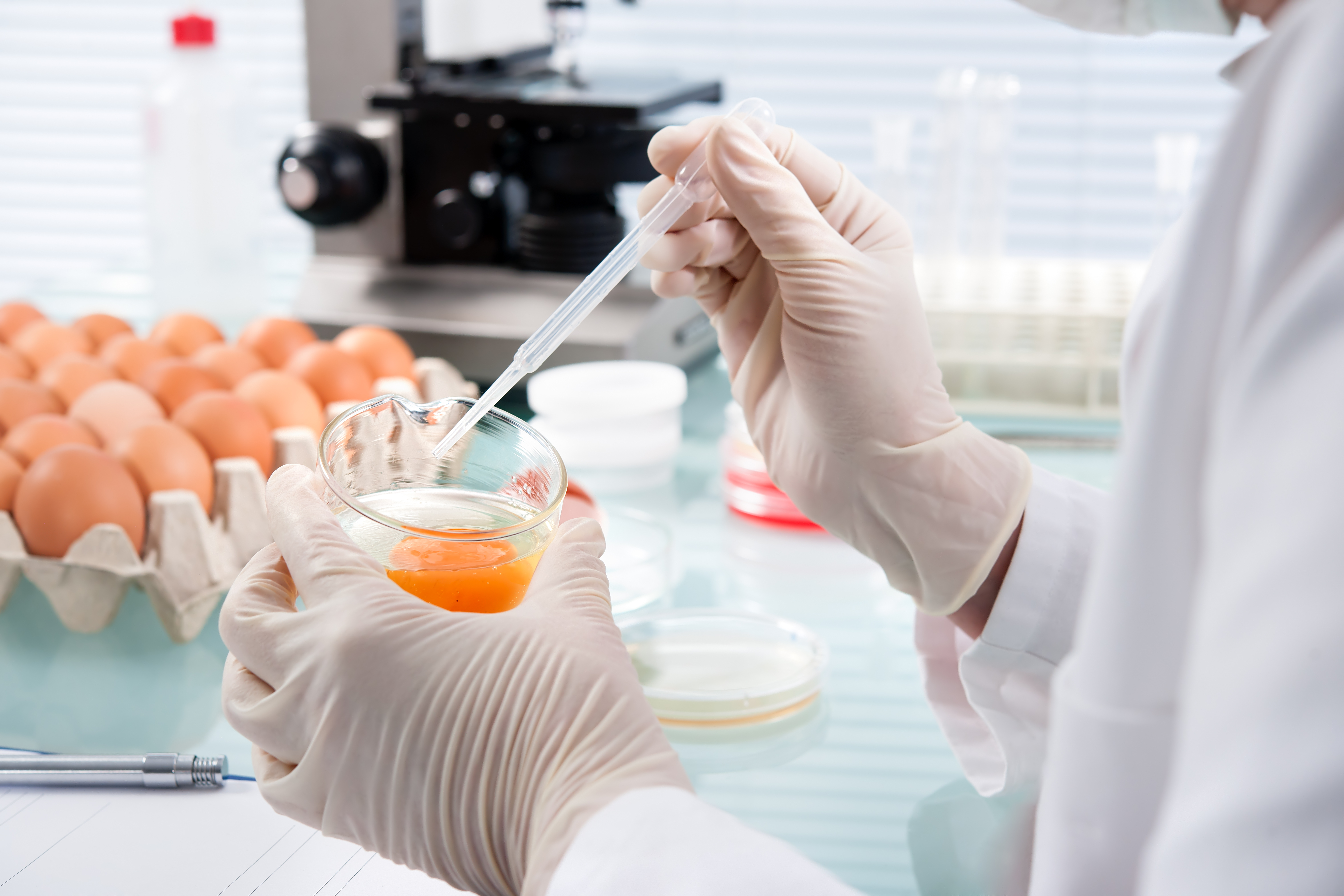 Eieren onderzocht in laboratorium
