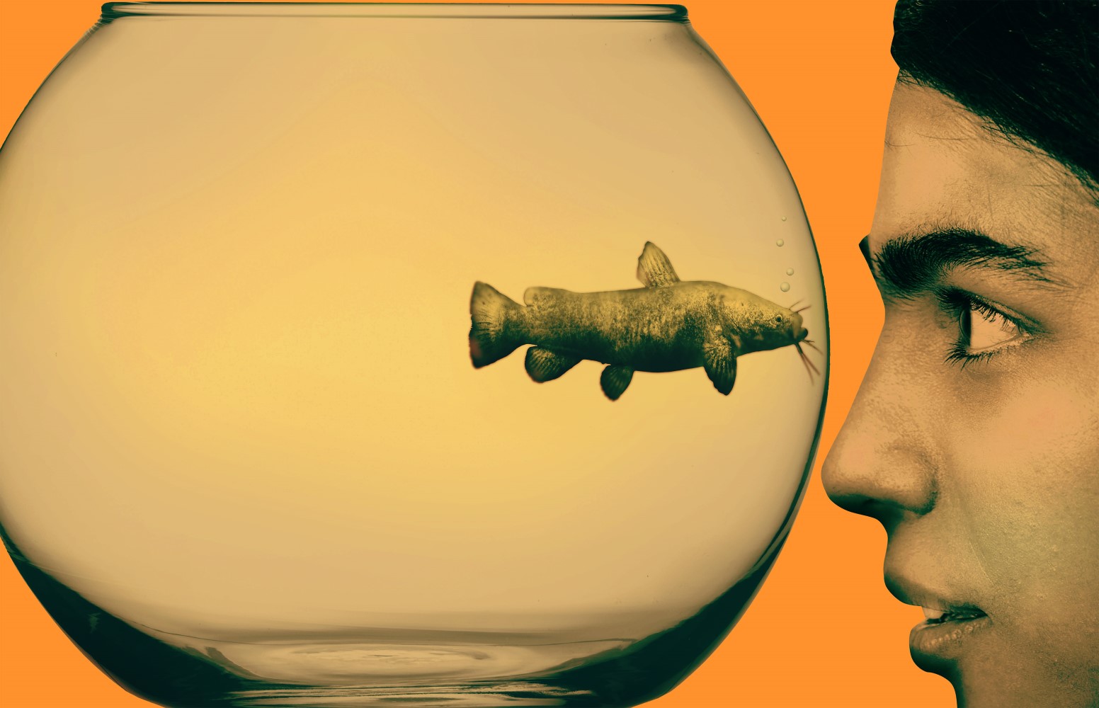 Person looking at fish