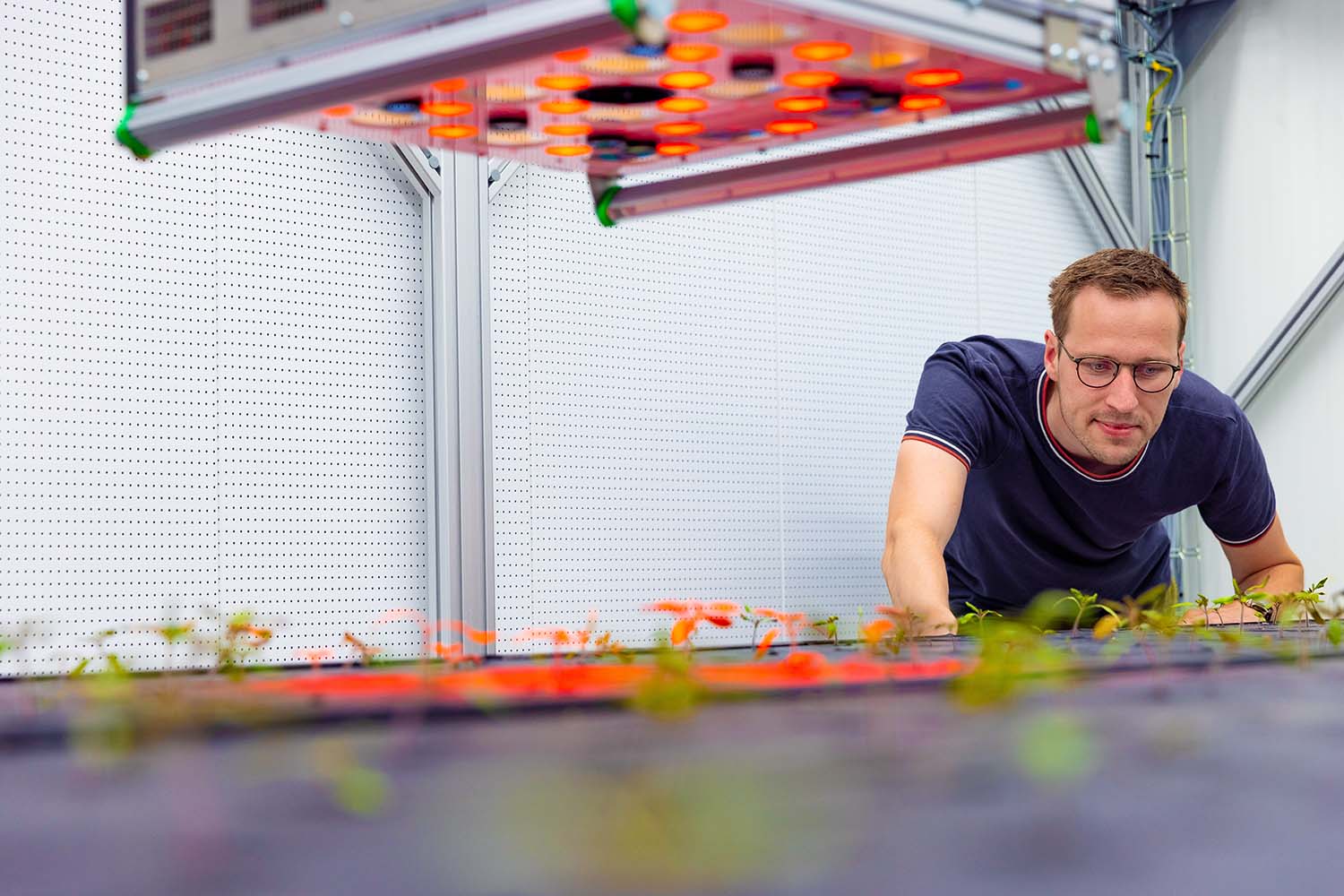 Een man kijkt naar een opstelling in een lab met planten