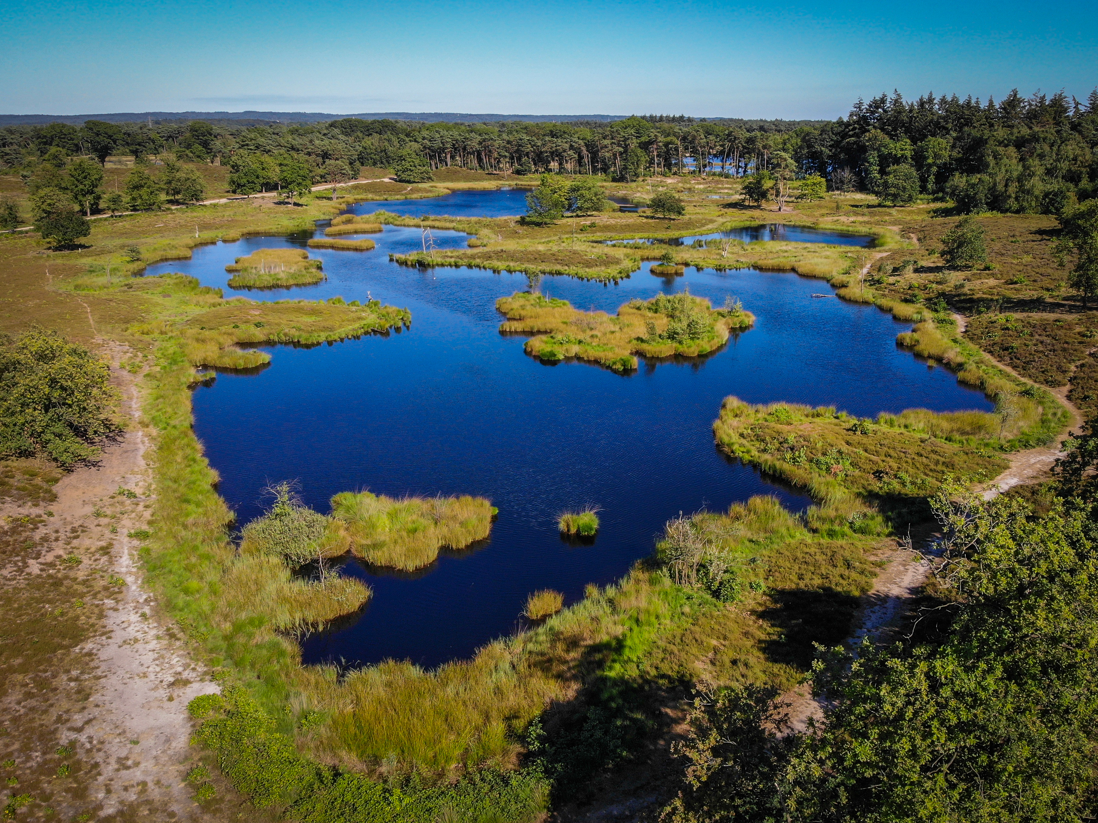 Lake in the netherlands