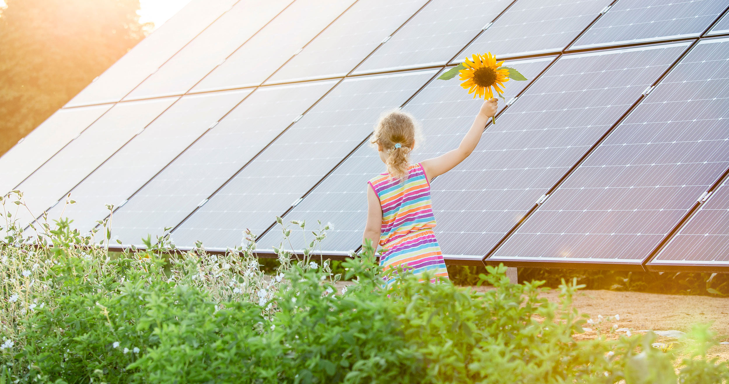 Girl with sunflower