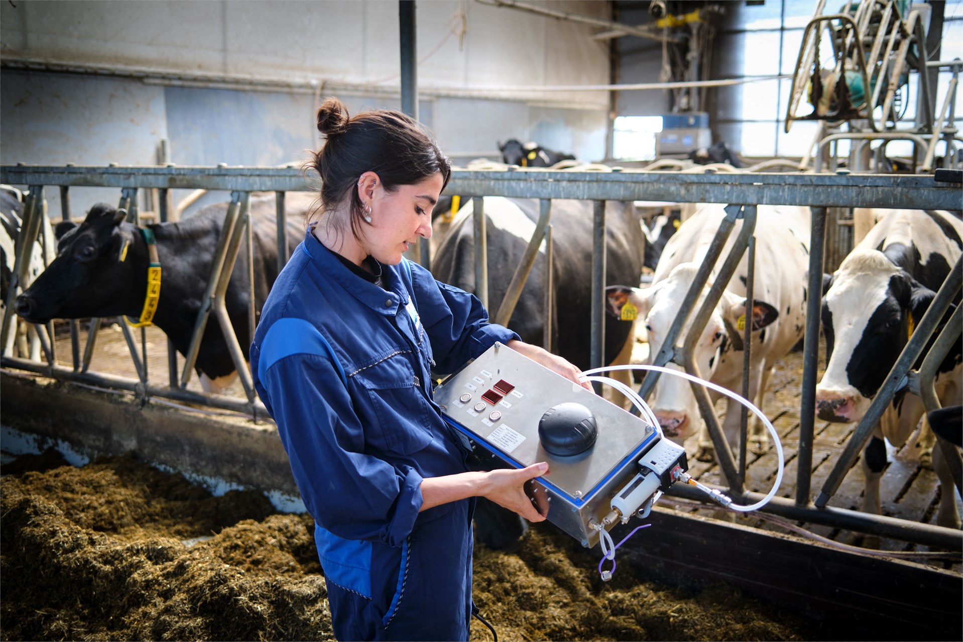 Methane sniffer in a cow stable