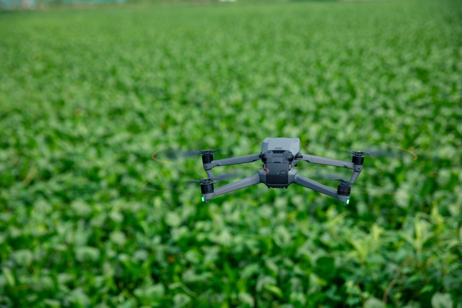 Drone over veld