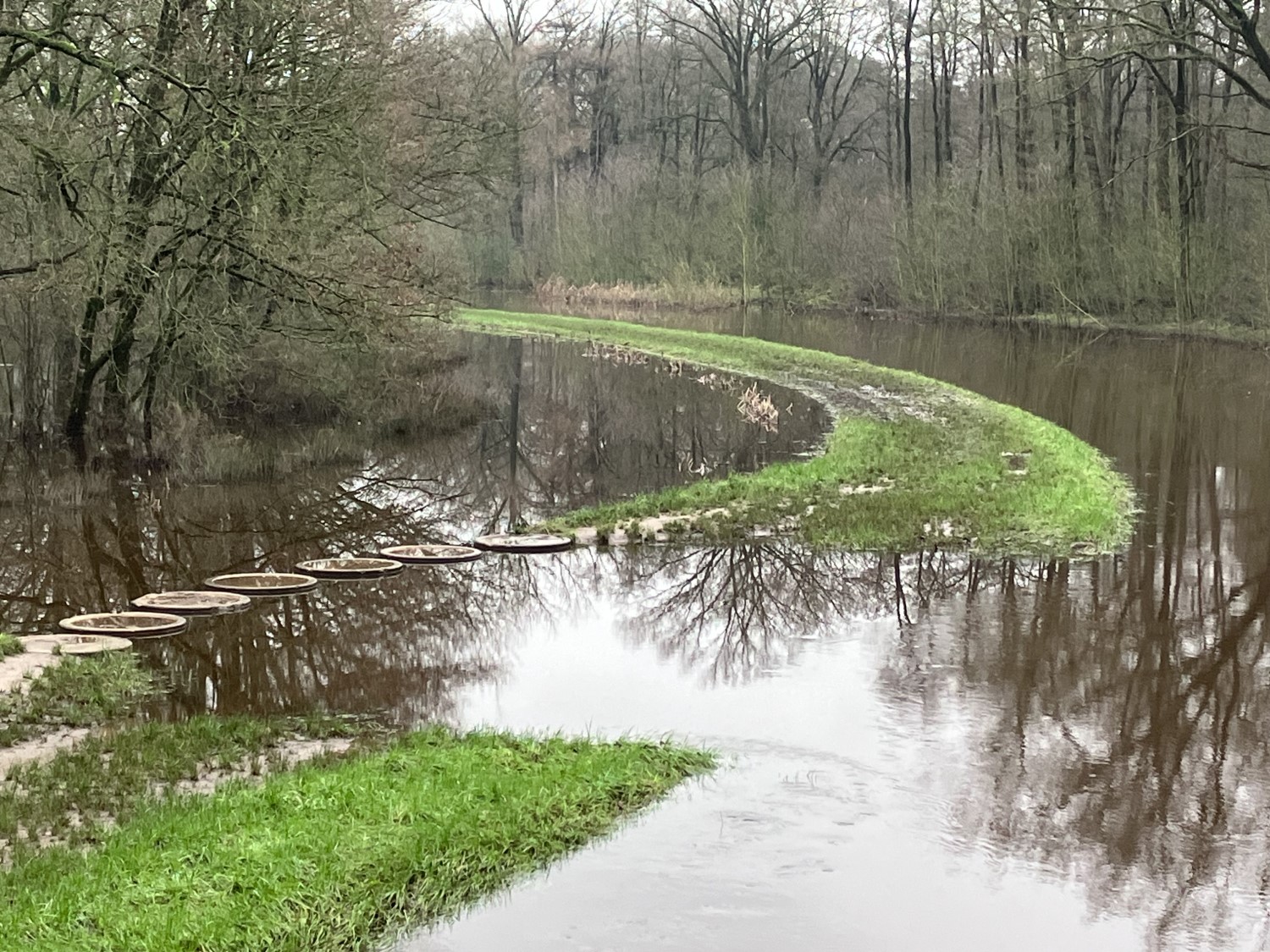 ondergelopen weiland