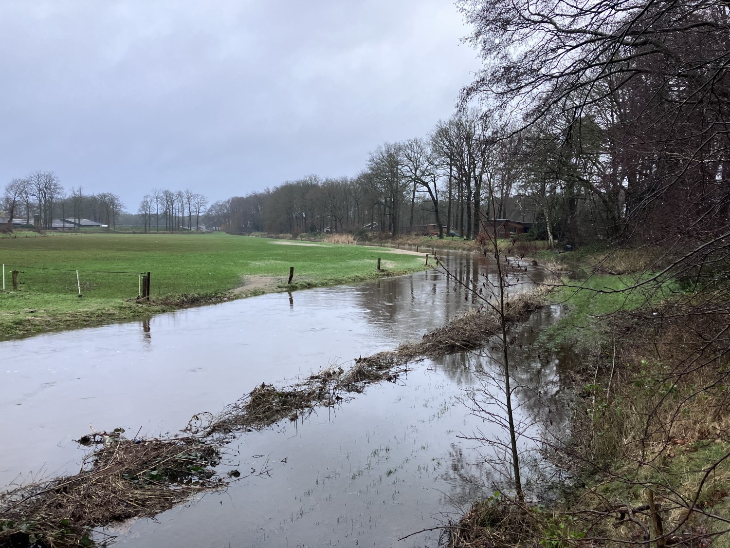 ondergelopen weiland
