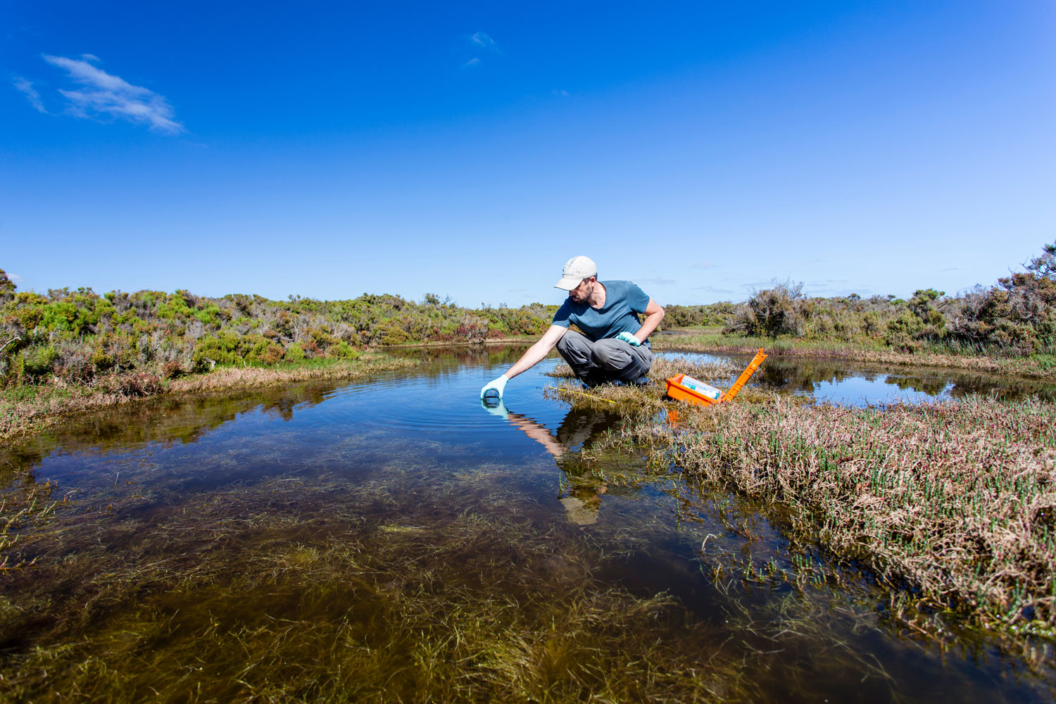 Researcher testing water
