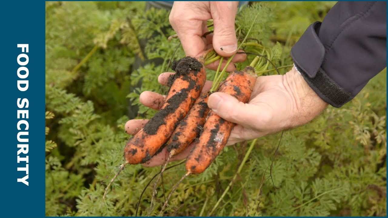 Integrated Crop Management - KennisOnline 2023