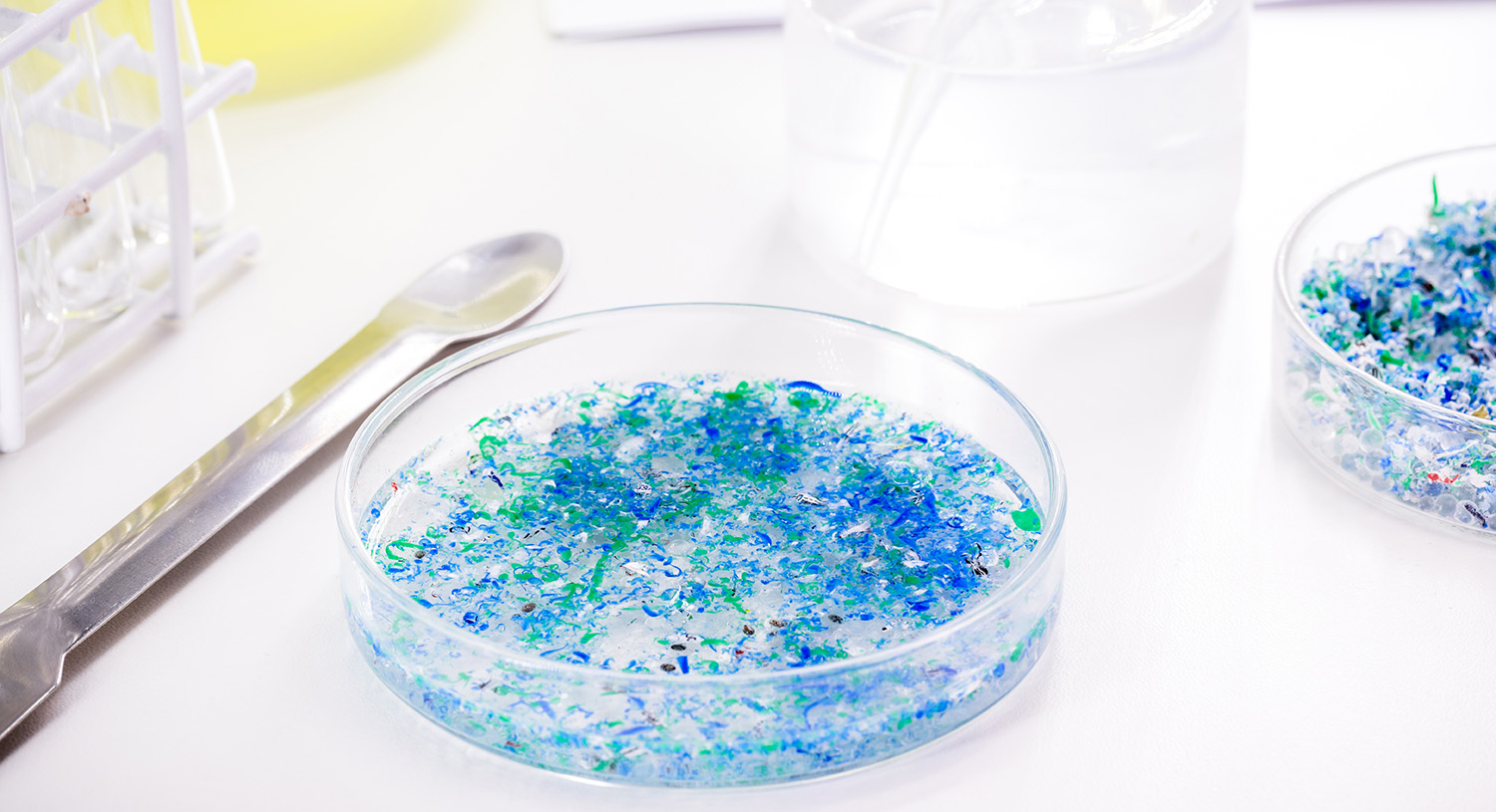 Petrischaaltje in een lab