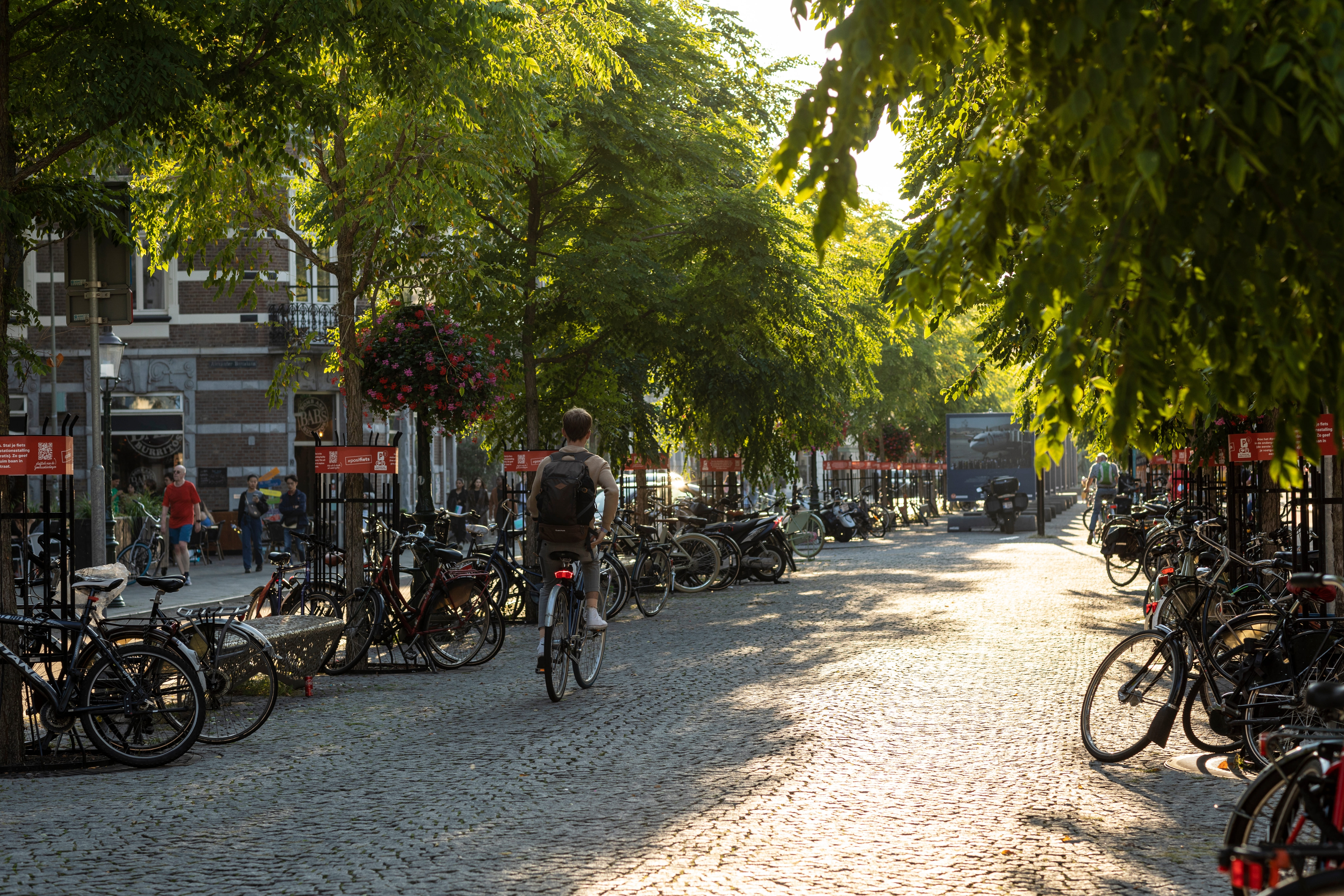 Man fietst in groene stad