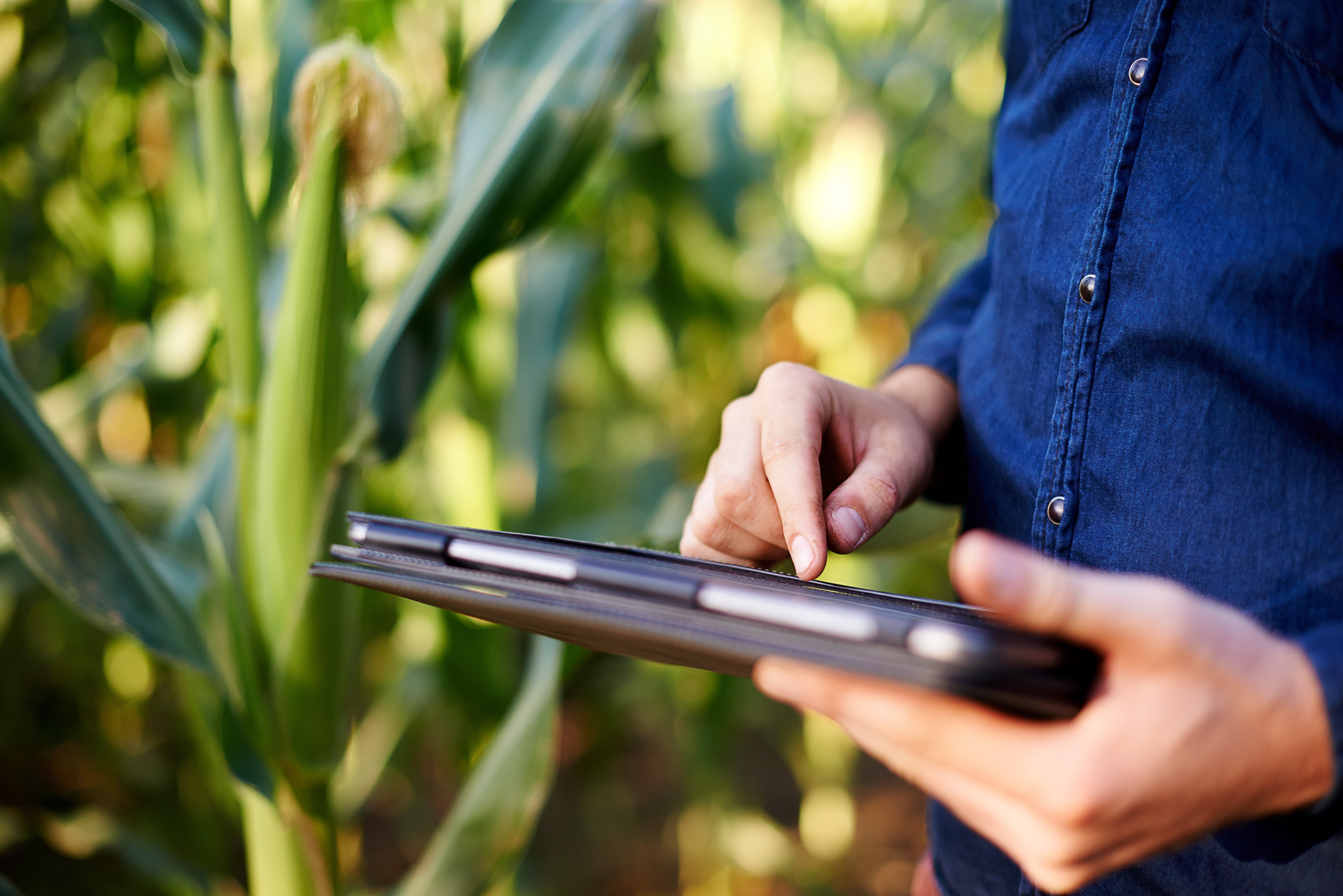 Tablet-landbouw