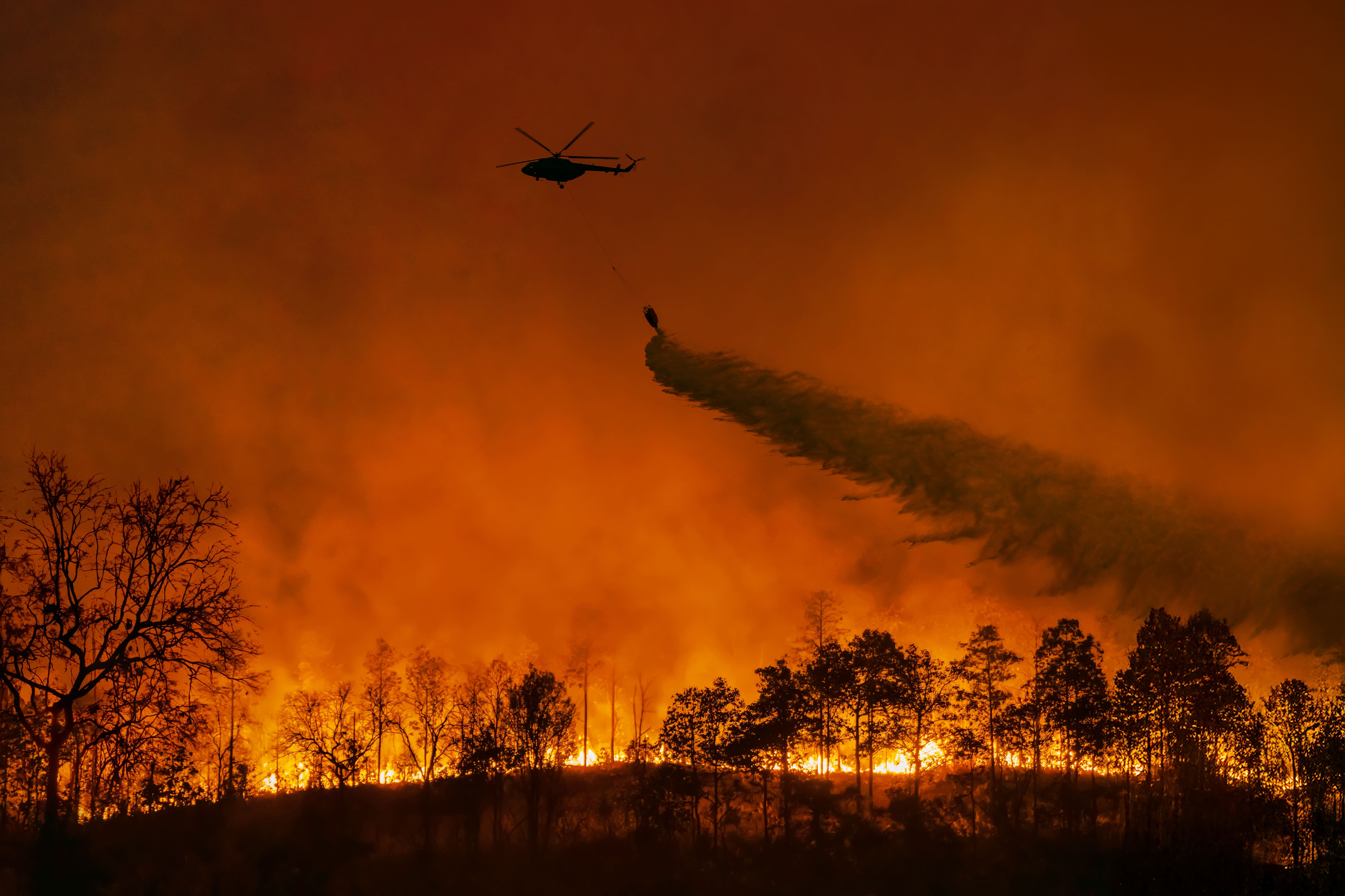 Forest fire being put out met water