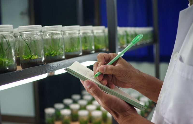 plant breeding