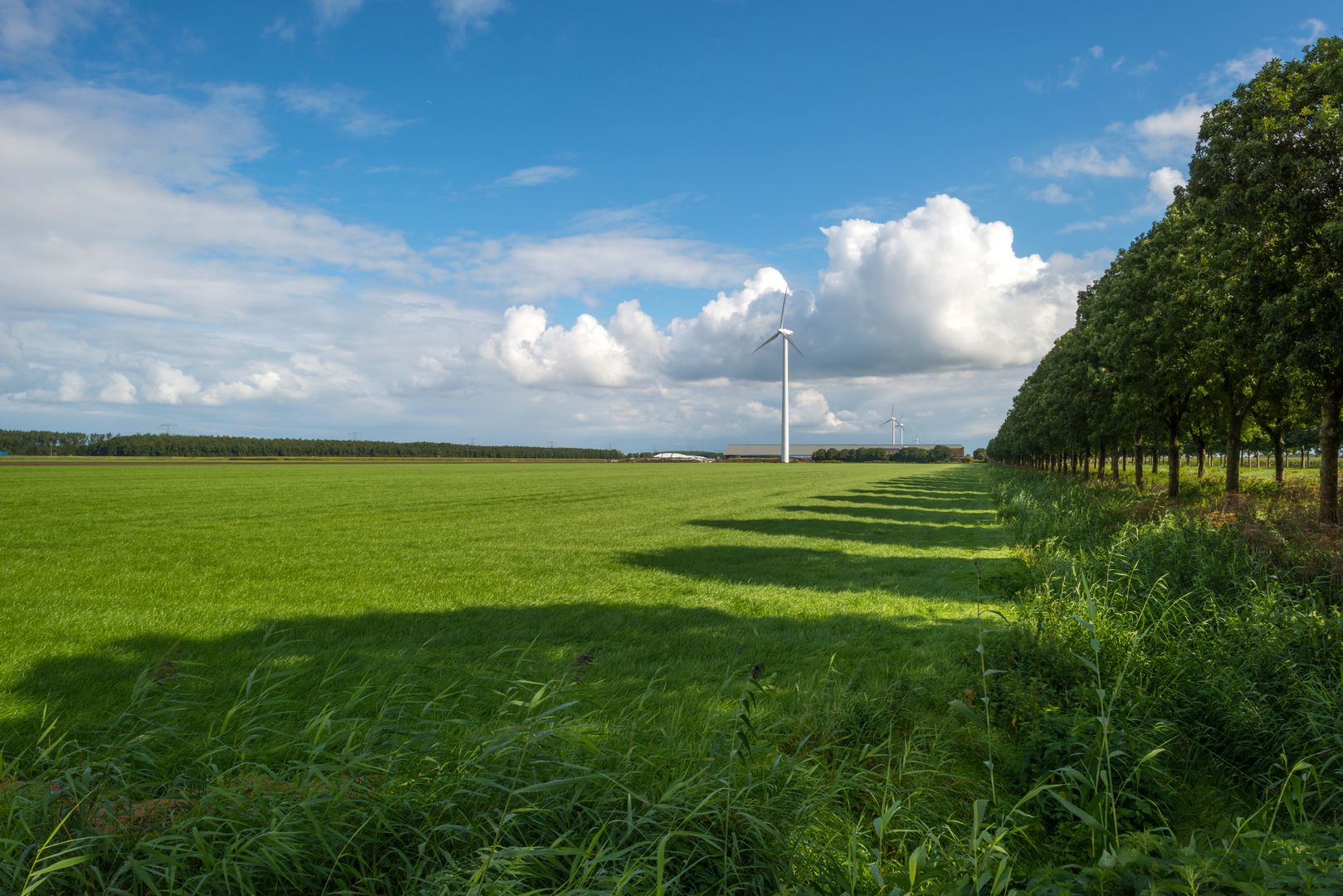 windmolen in weiland