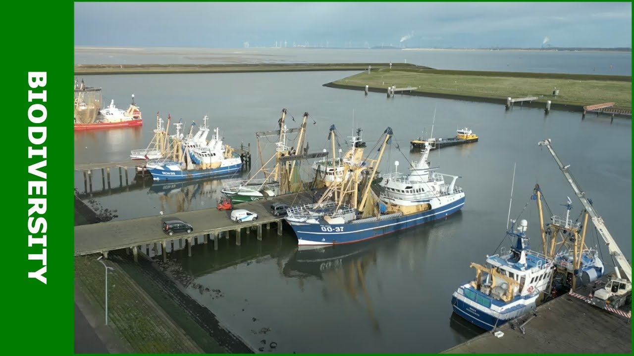 Welzijn in de Nederlandse visserijsector - KennisOnline 2023