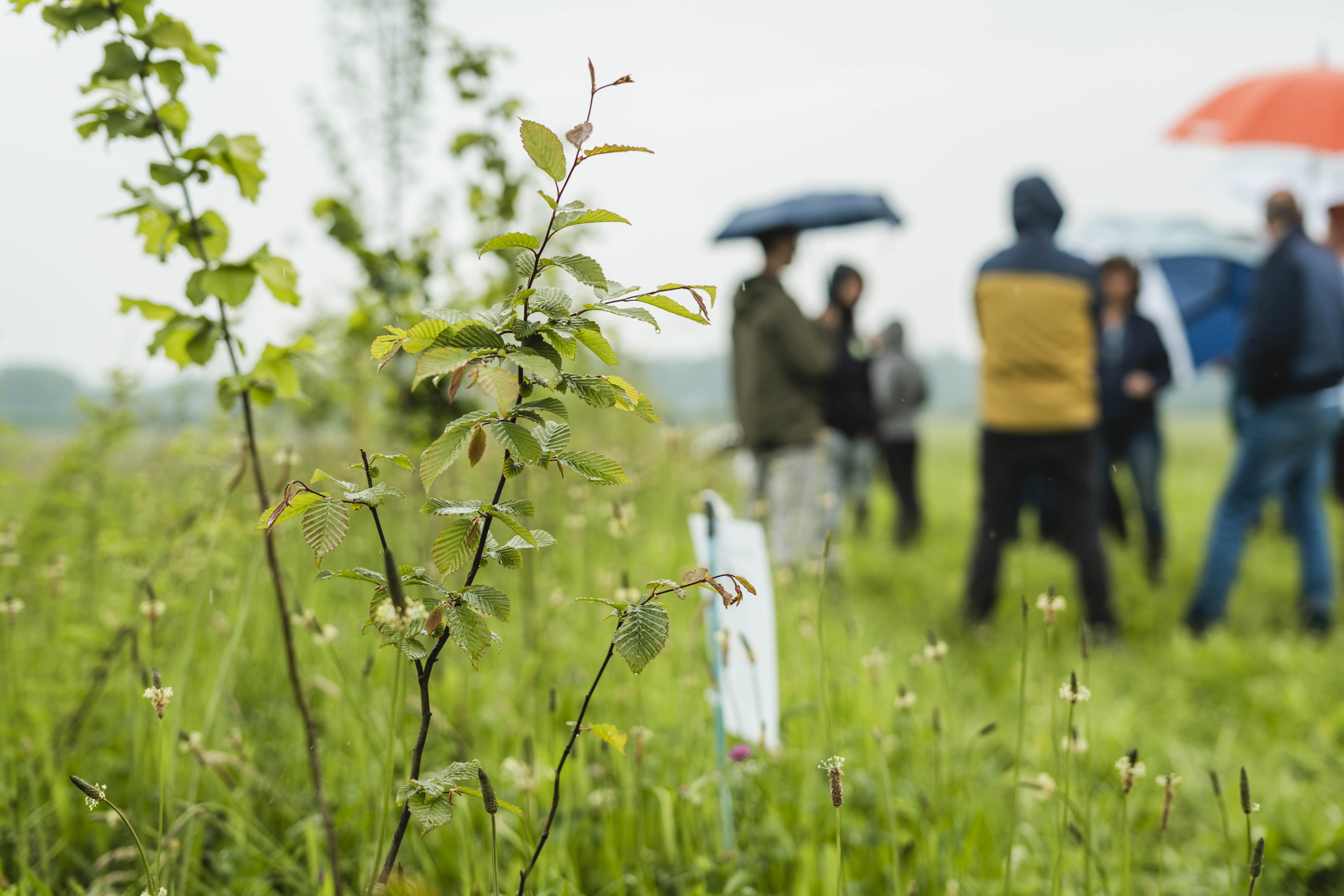 Natuur onderzoek