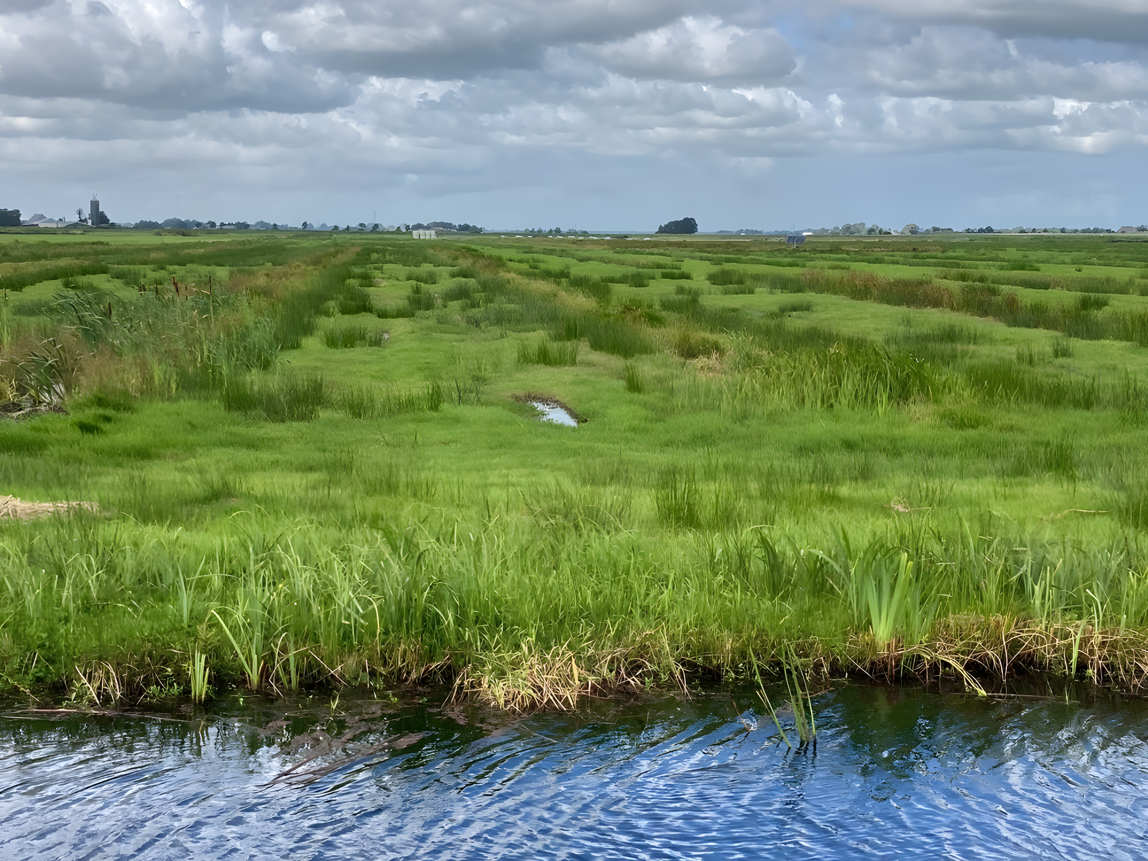 View of the Alde Faenen, a green, extensive lowland peat area