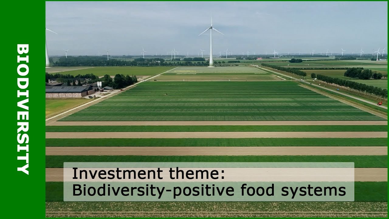 Biodiversity-positive food systems