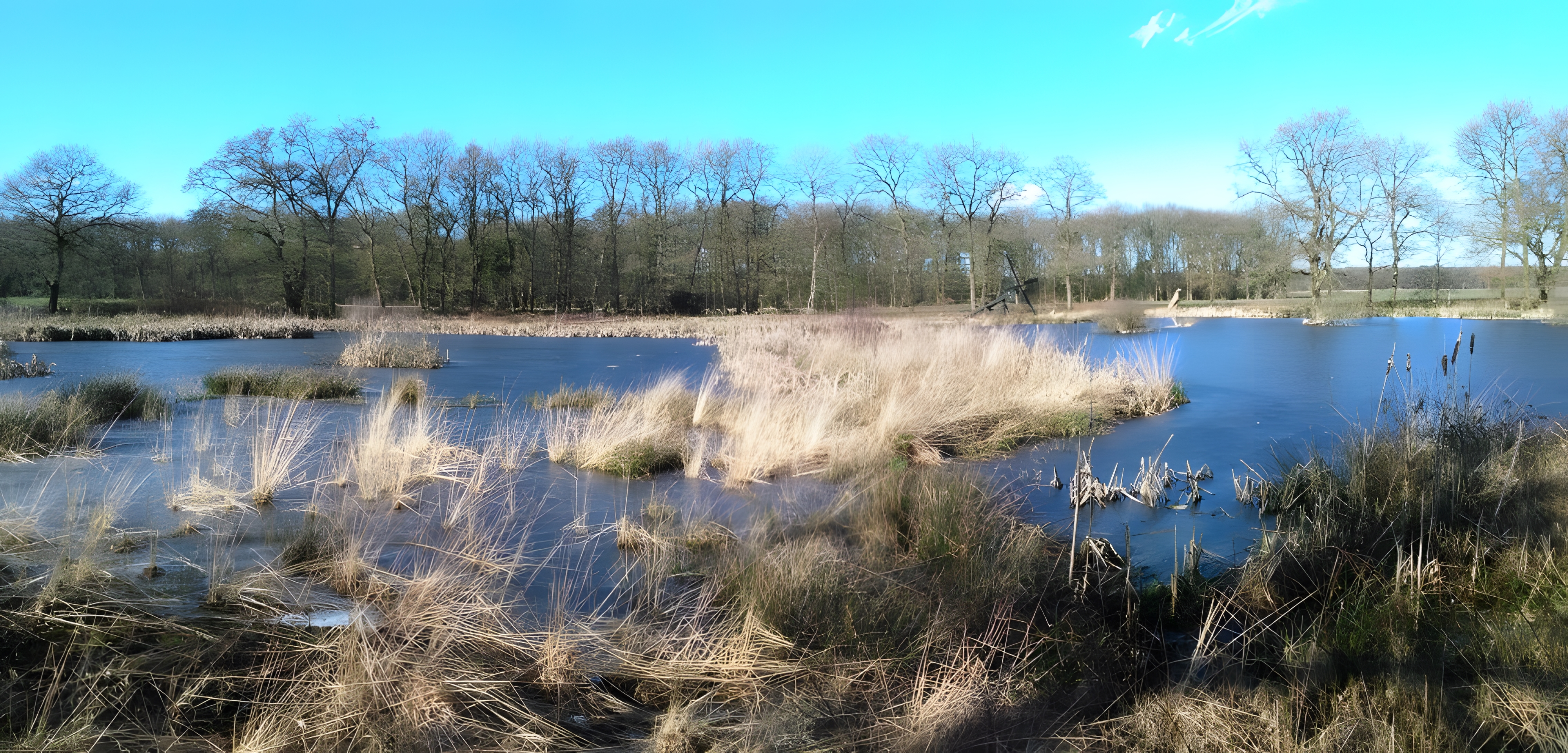 View of the Bolleveen in Drenthe