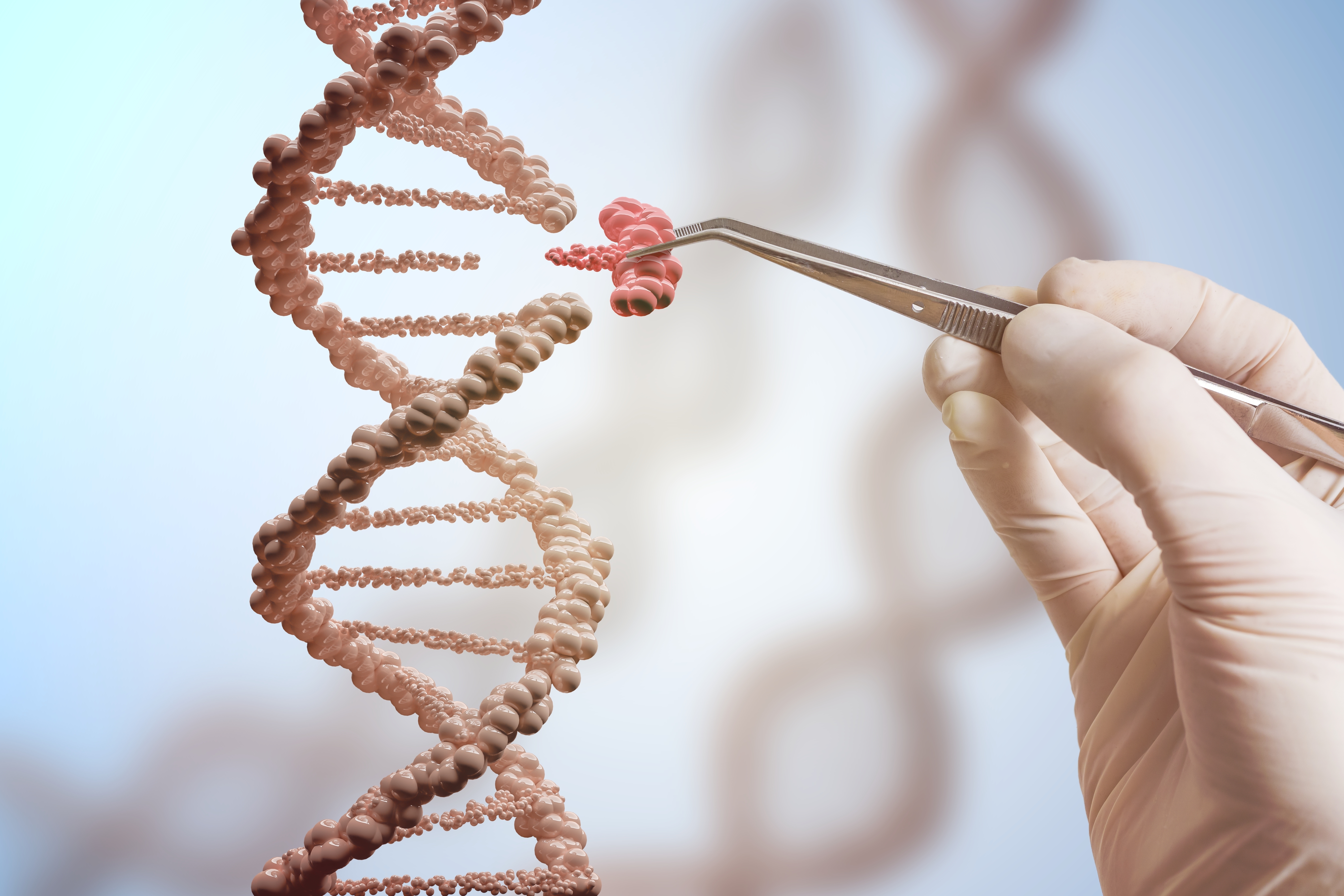 DNA engineering