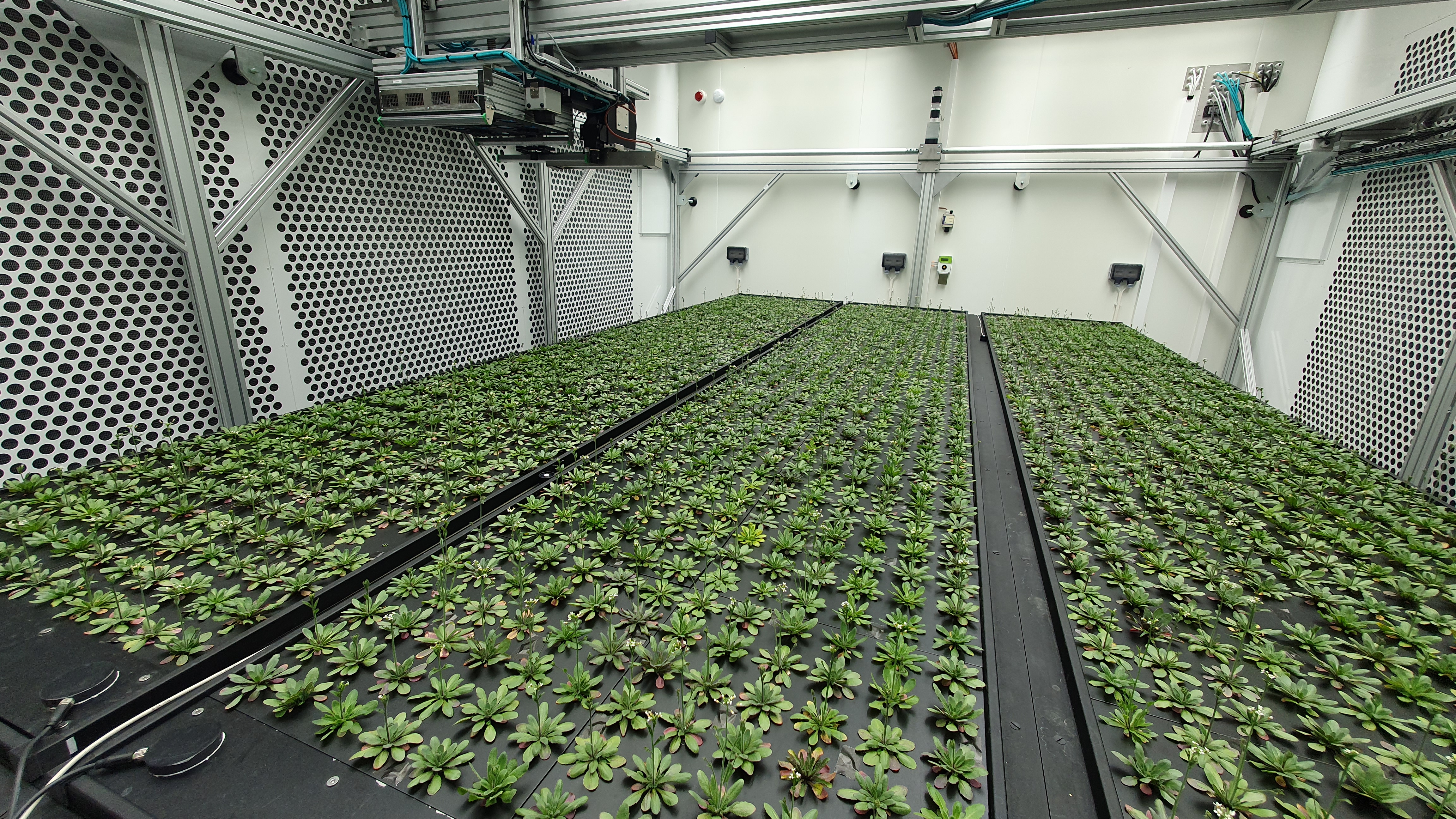 NPEC Growth room