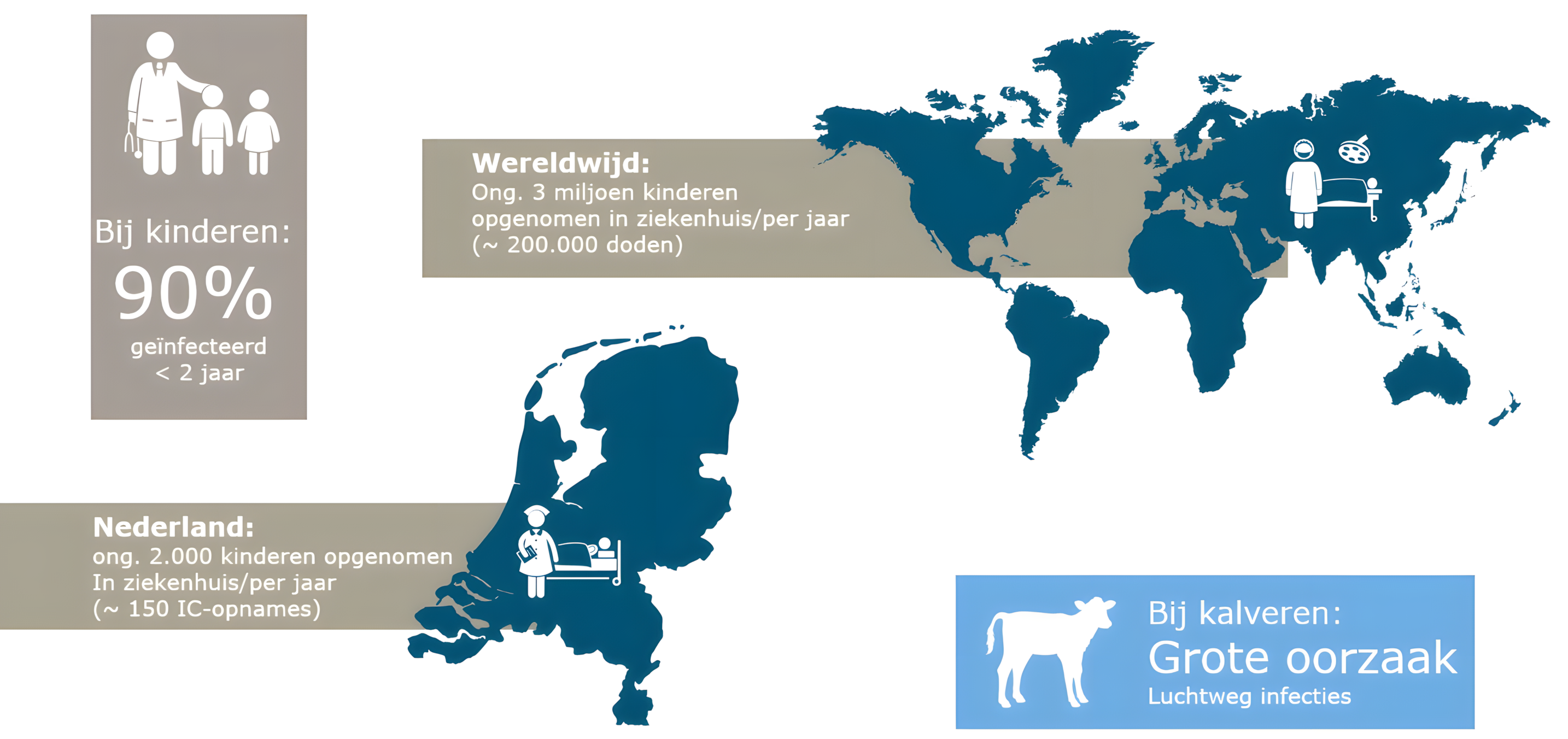 Infographic showing the impact of the RS-virus