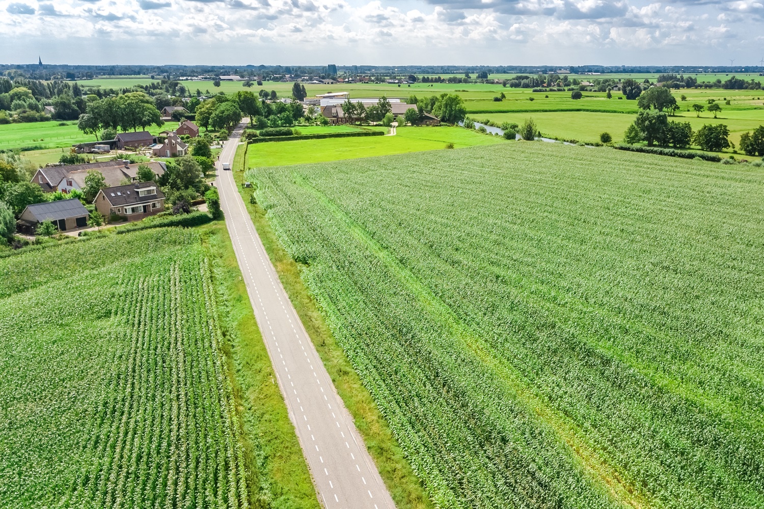 Groen landschap met weg