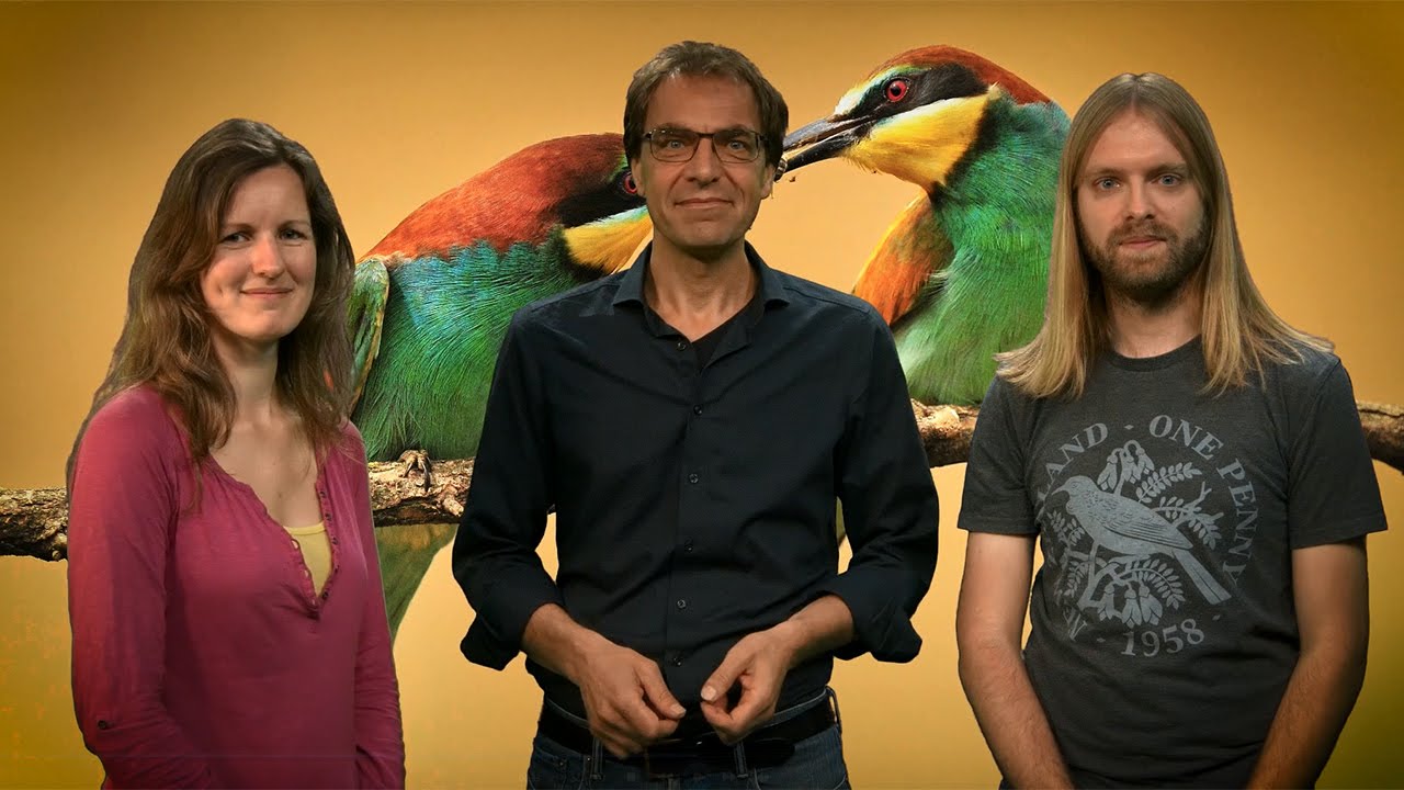 MOOC Introduction to Animal Behaviour | Wageningen University & Research