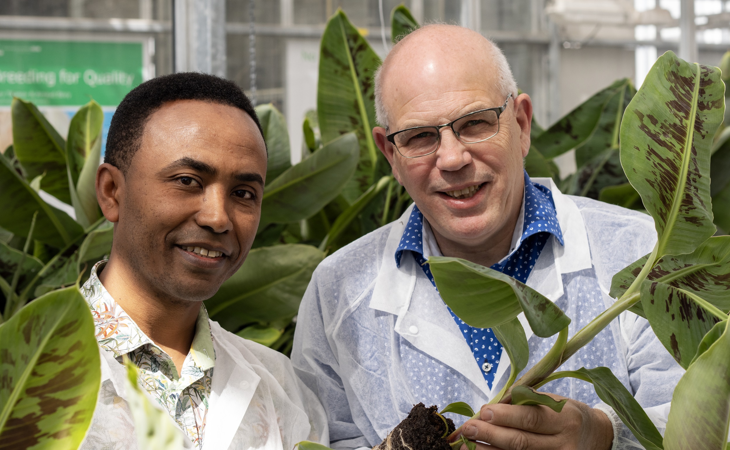 Harold Meijer en Desalegn Etalo met bananenplant