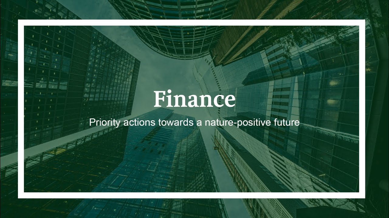 How the Finance sector can contribute towards a nature-positive future