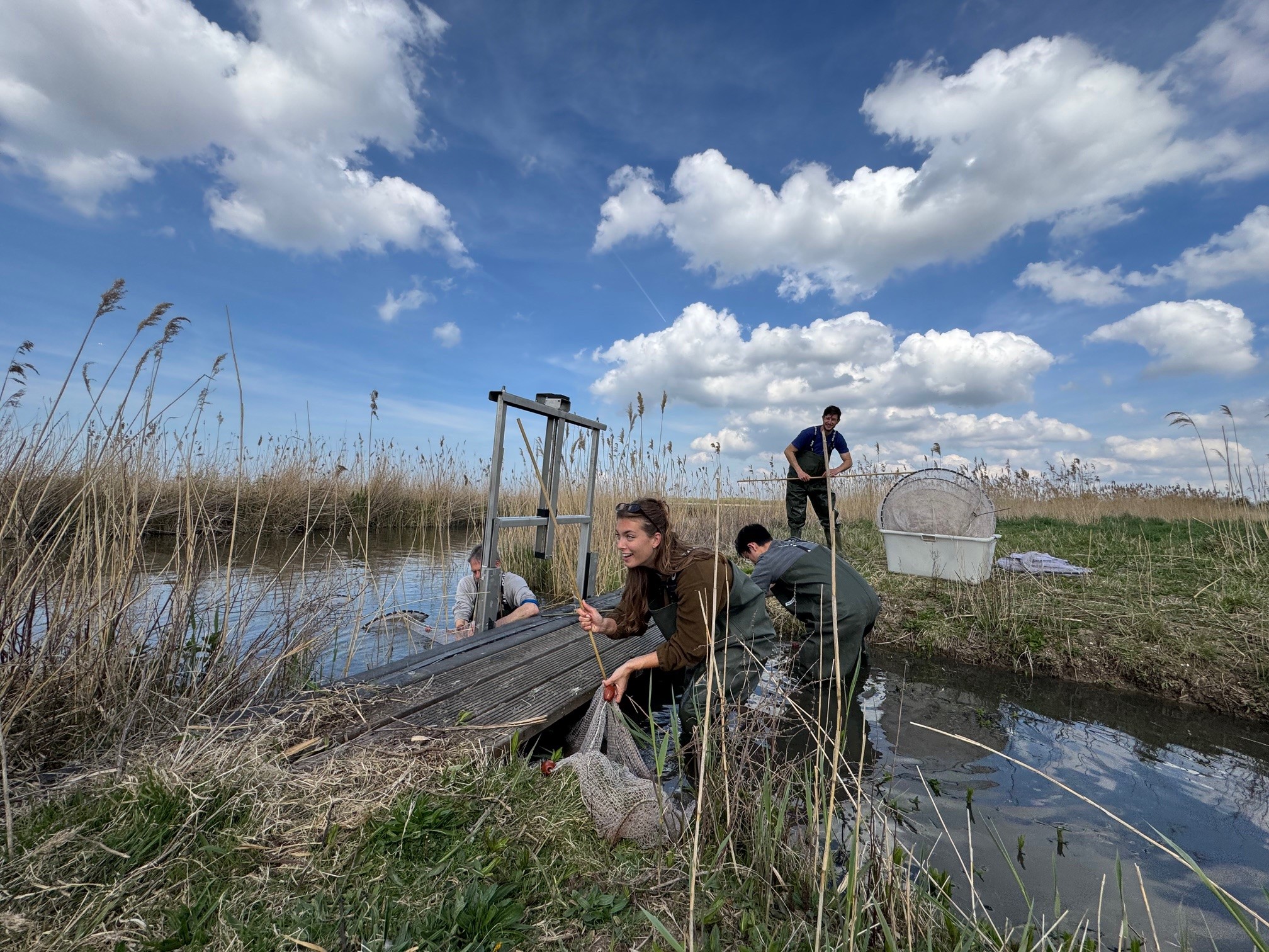 Het visteam is aan het werk in de oostvaardersplassen