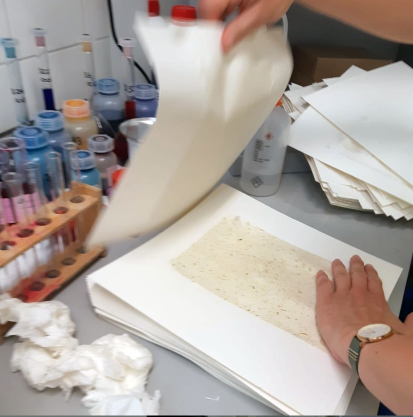 The first leaf of grass paper is pressed
