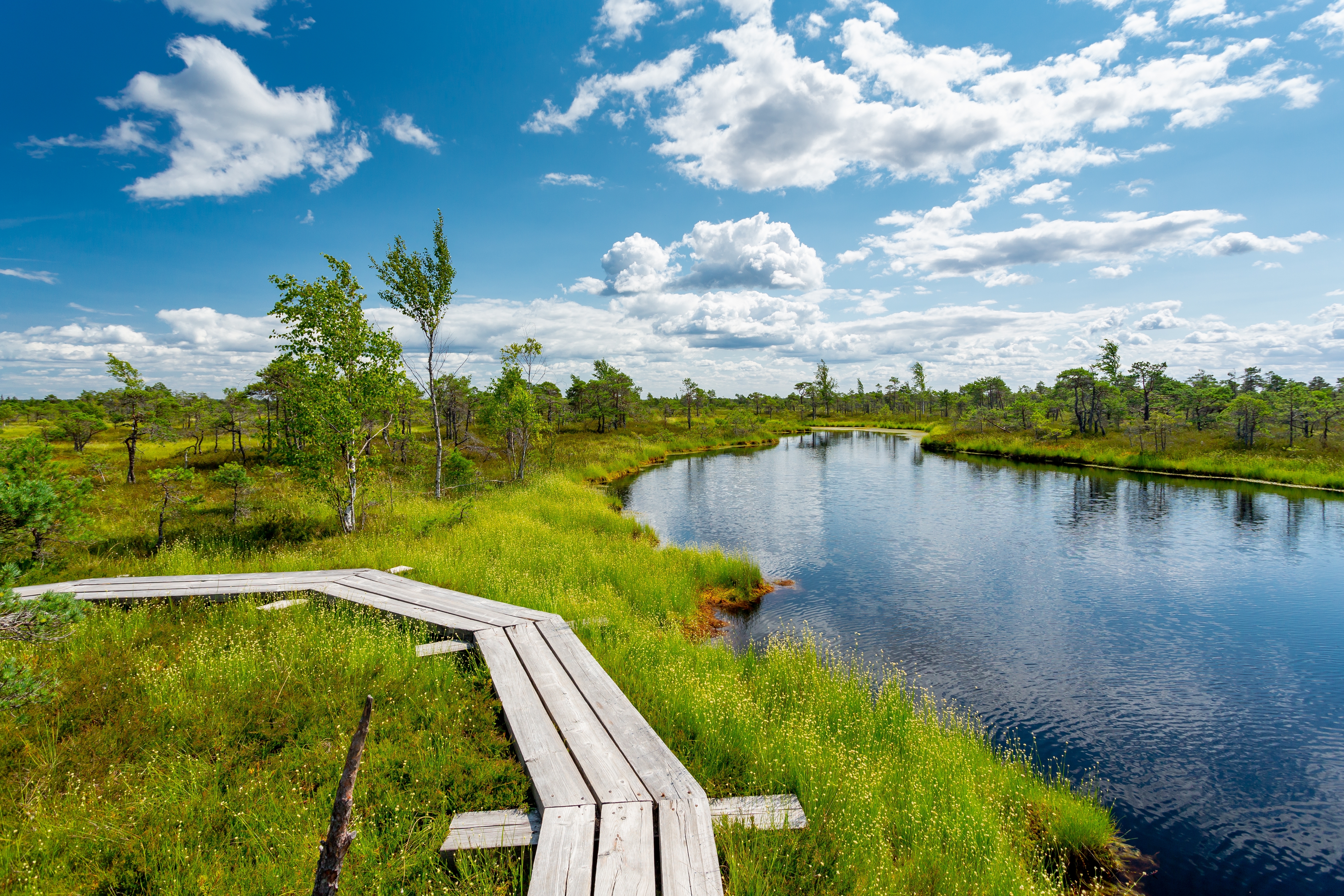 Park in Latvia Water Grass and blue sky