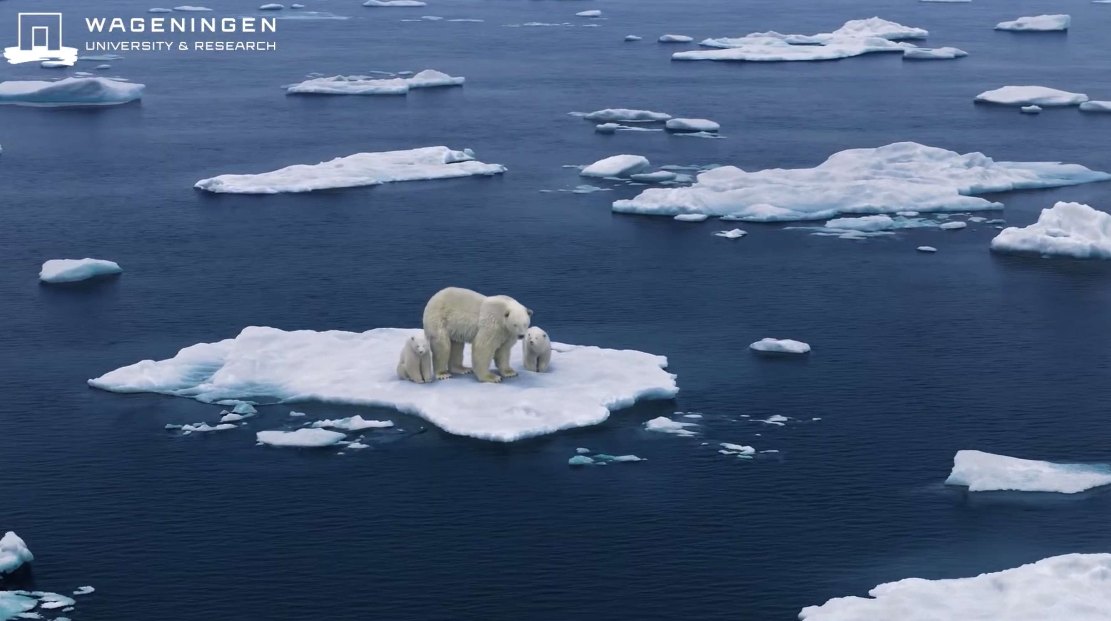 Planetary Boundaries