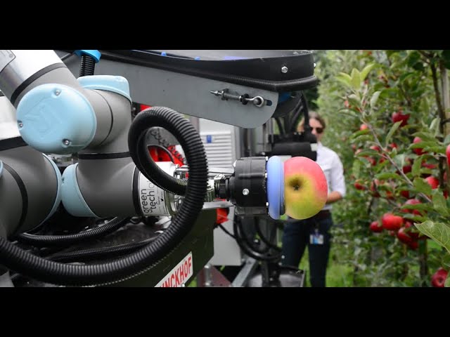 Apple picking robot - NXTGEN Hightech teaser 2024
