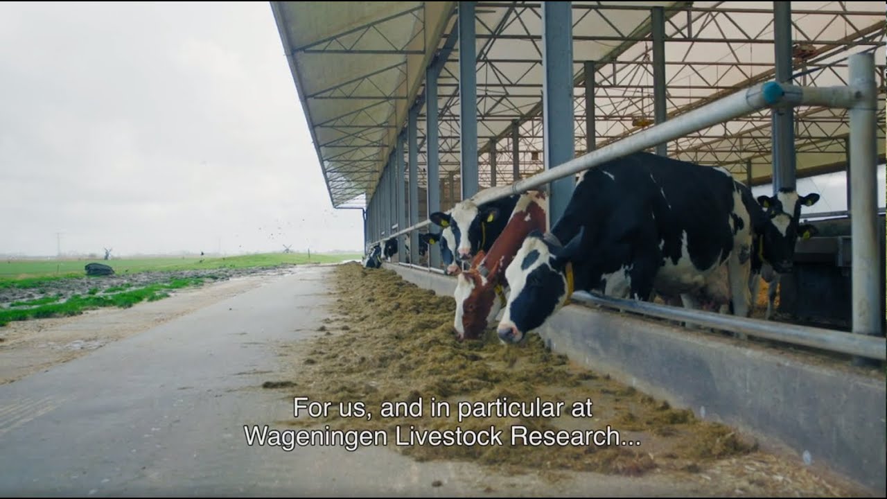 Finding solutions for sustainable livestock farming
