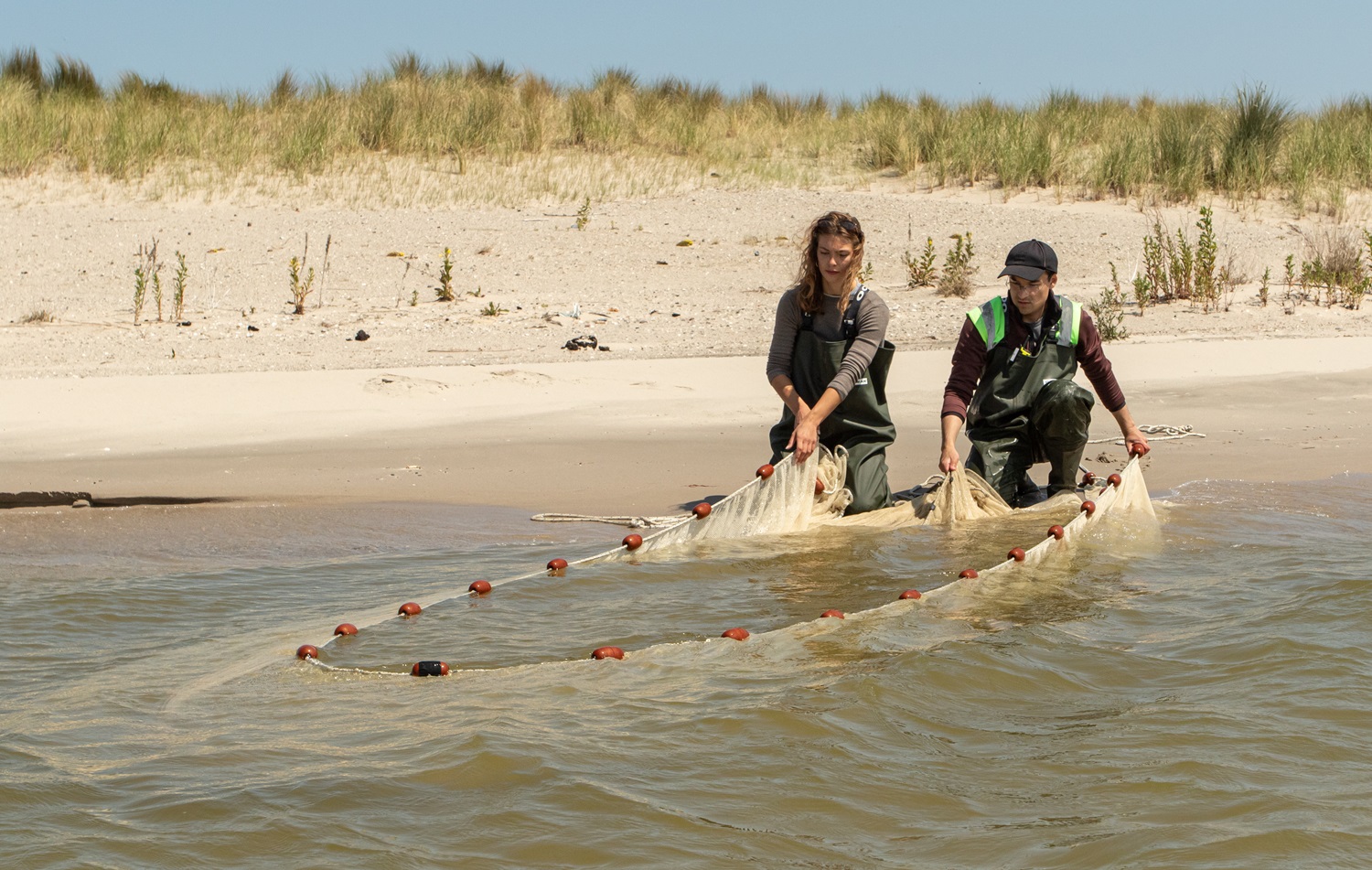 zegenvissen op een zandstrand 