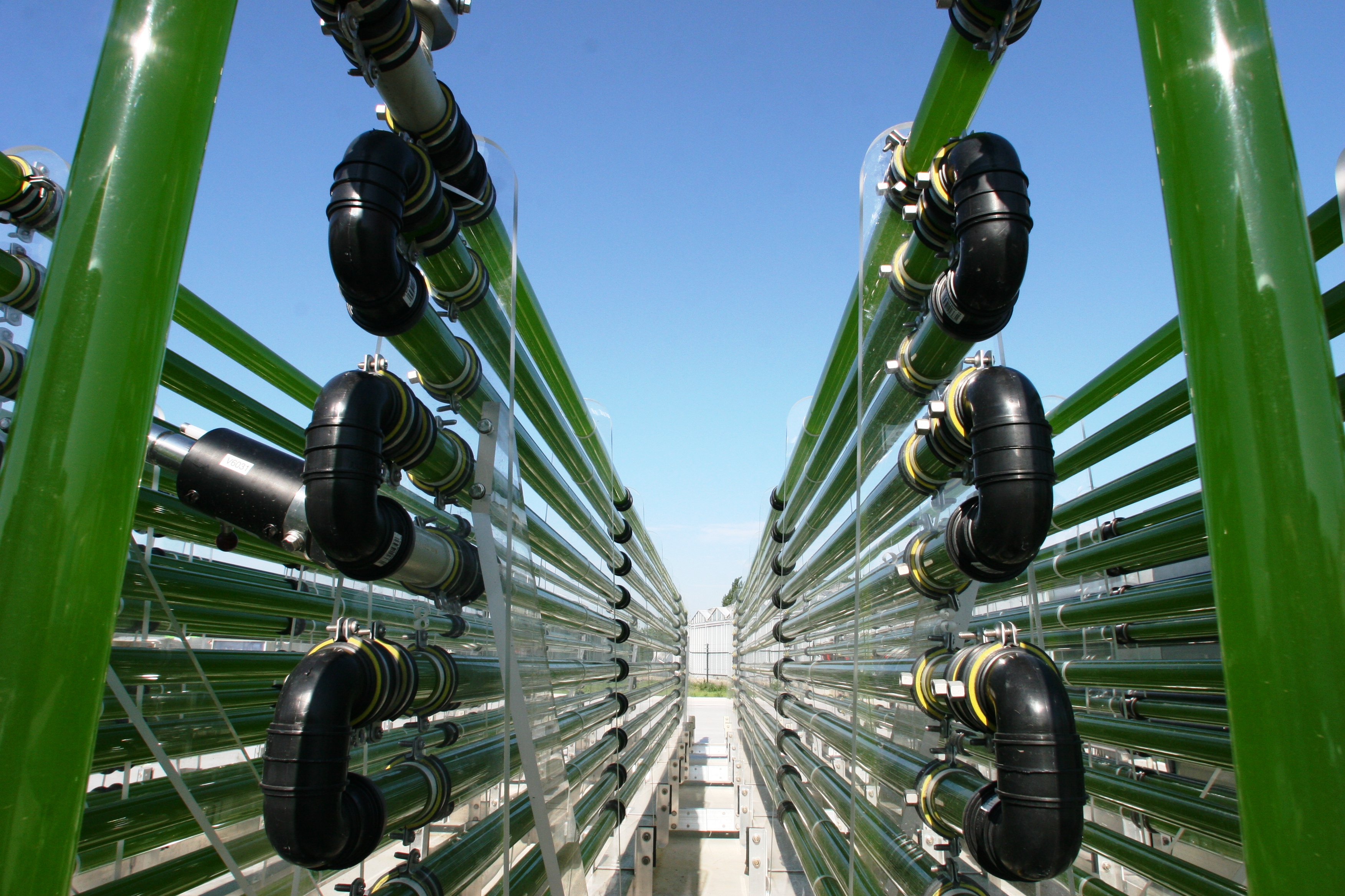 AlgaePARC - Vertical tubular sideview