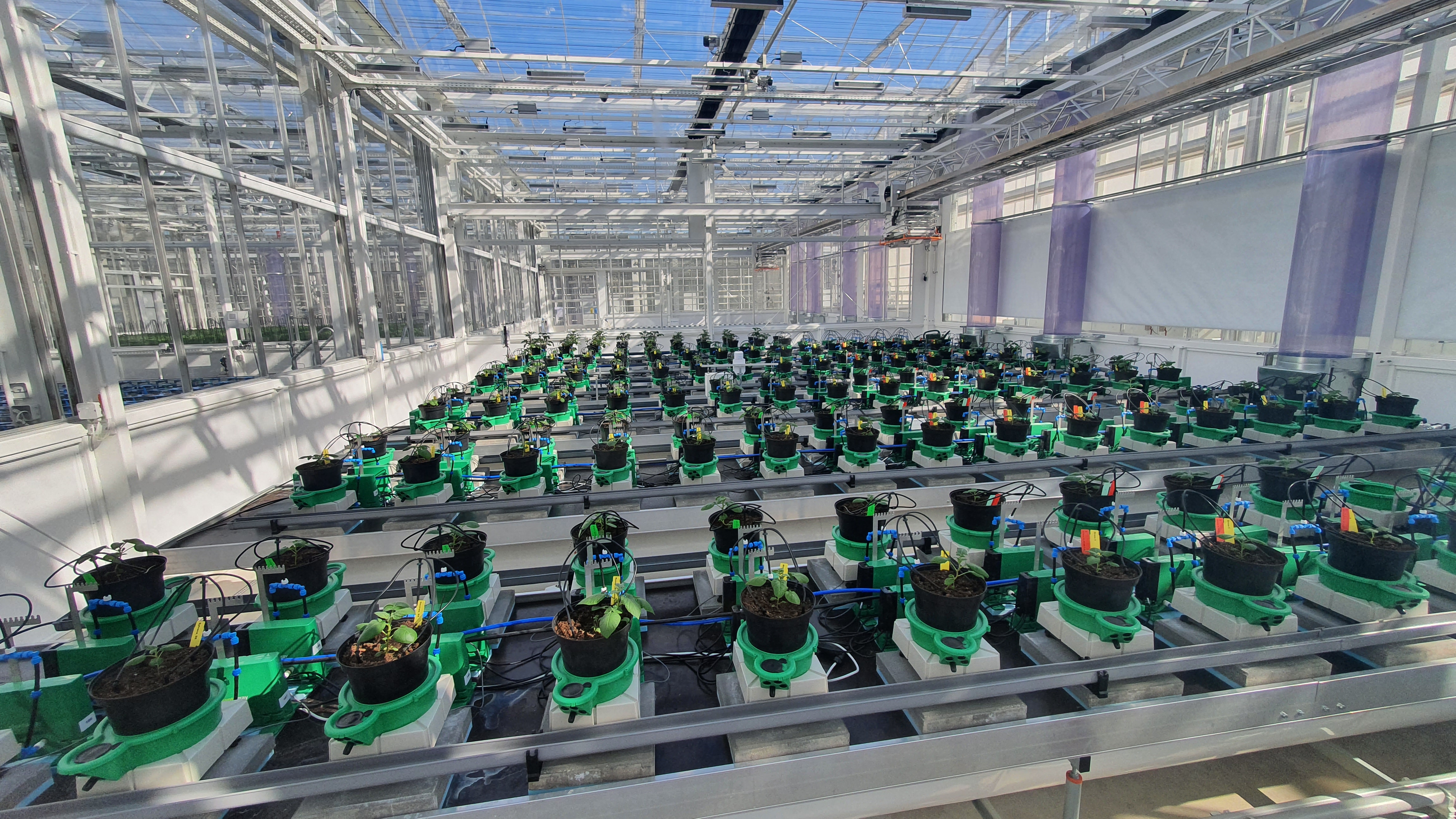 Weegschalensysteem NPEC