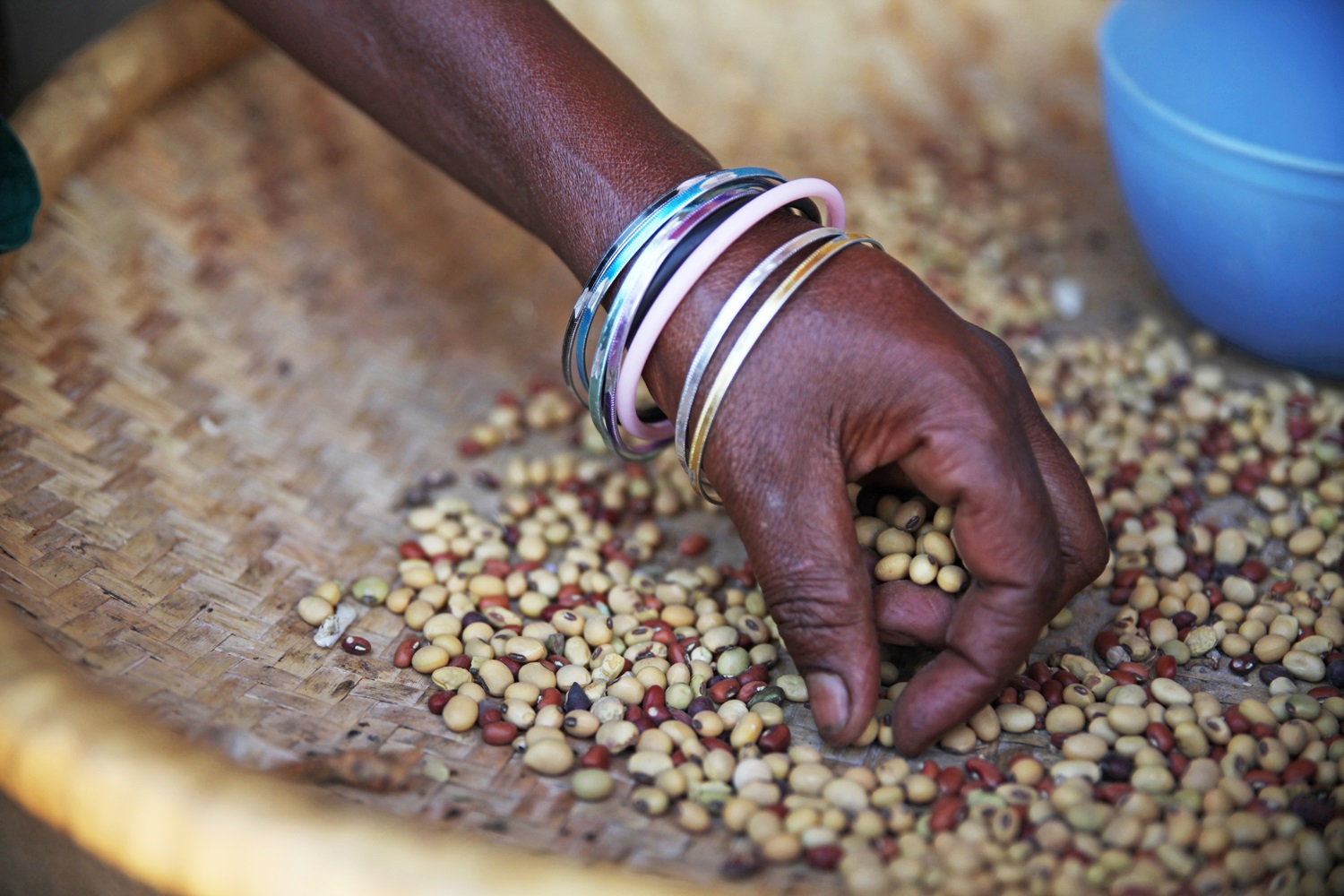 Hand of African woman sorts seed in a reed basket