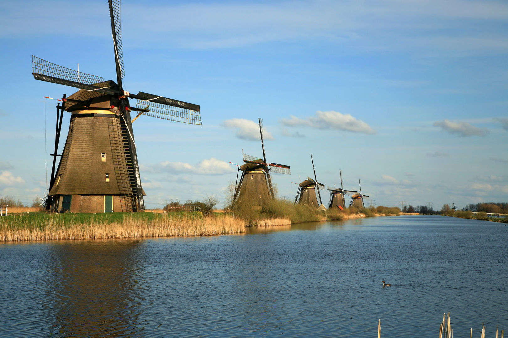 Molens van Kinderdijk bij laagstaande zon