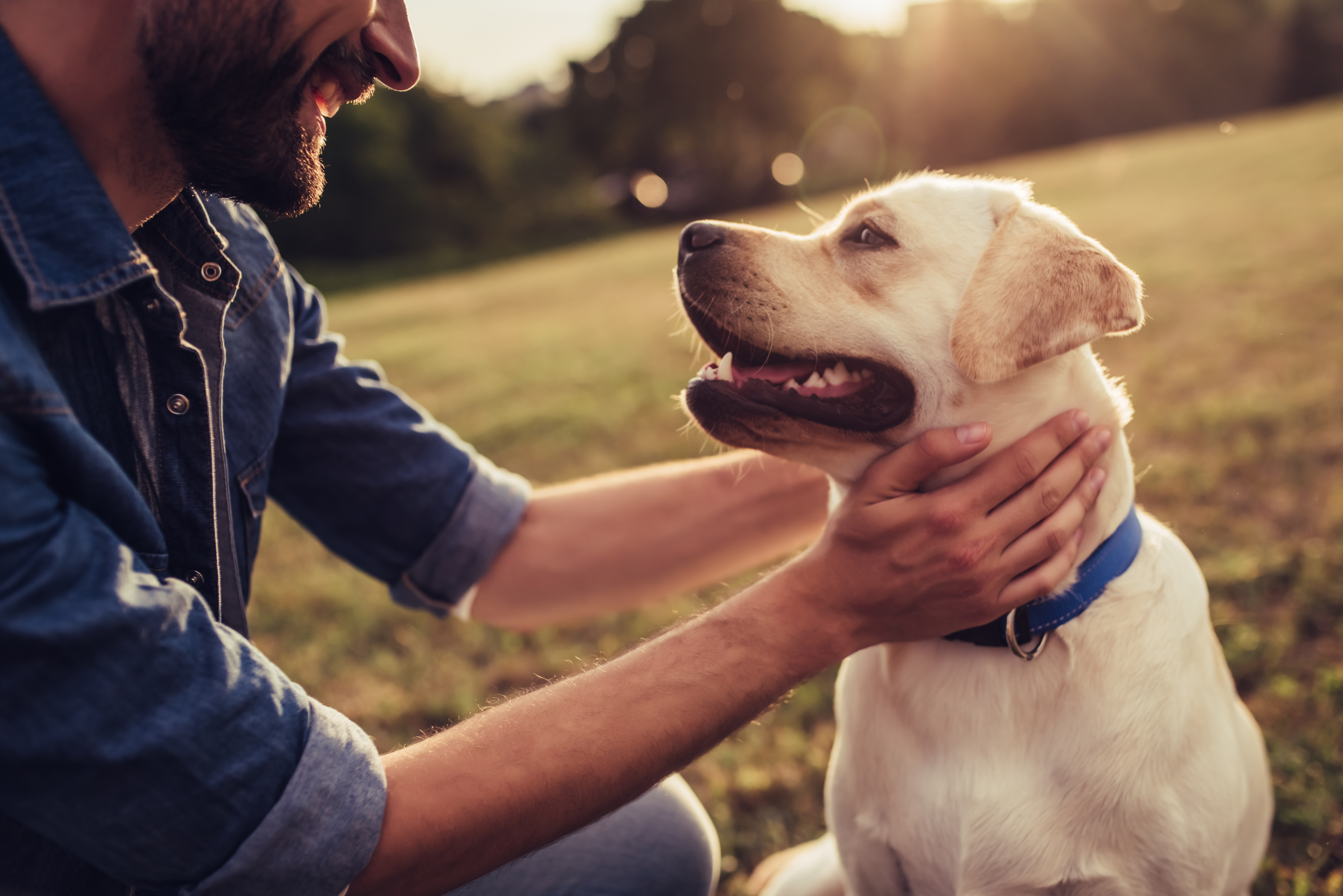 A farmer pats a dog